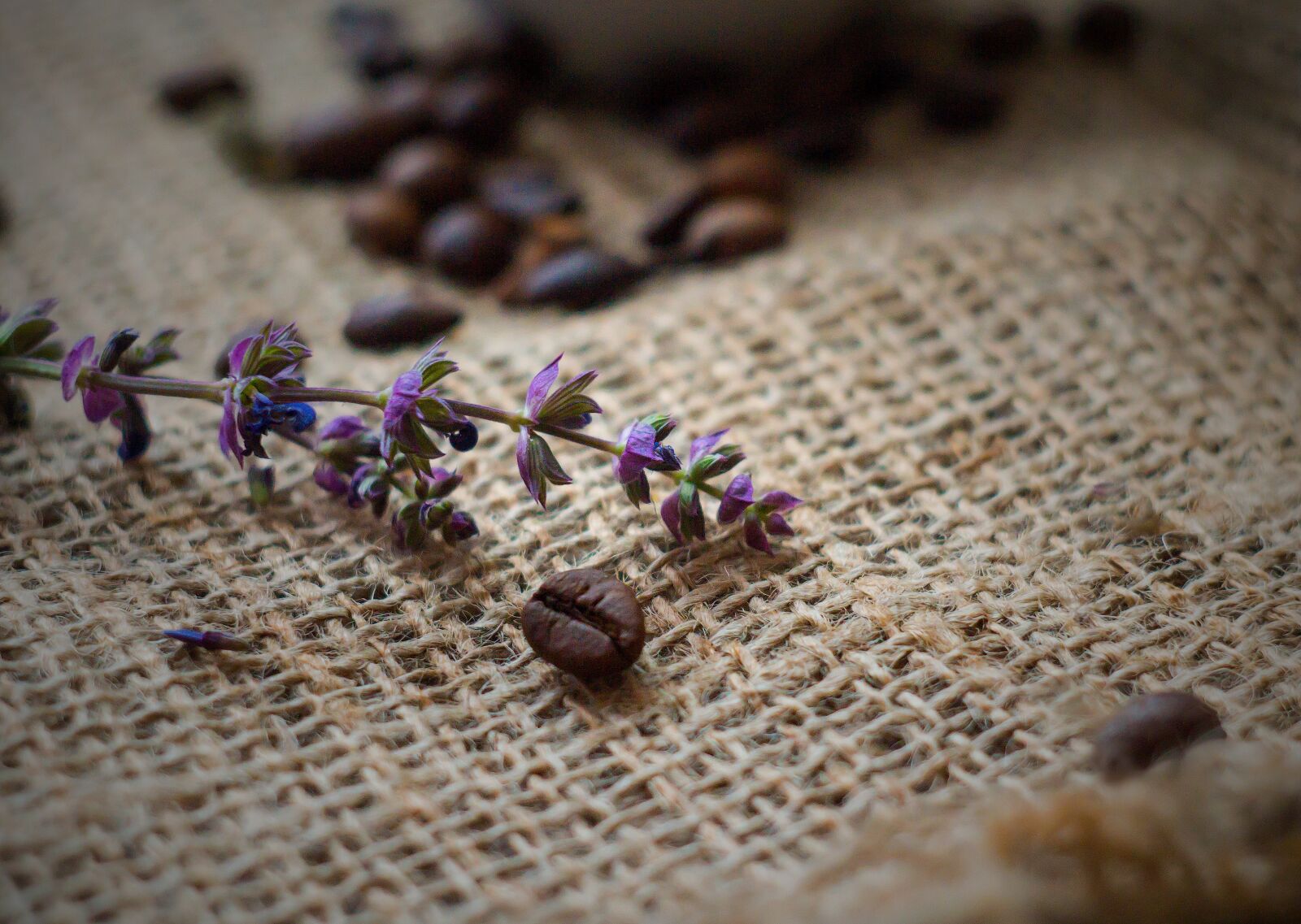 Canon EOS 1200D (EOS Rebel T5 / EOS Kiss X70 / EOS Hi) sample photo. Coffee, sage, burlap photography