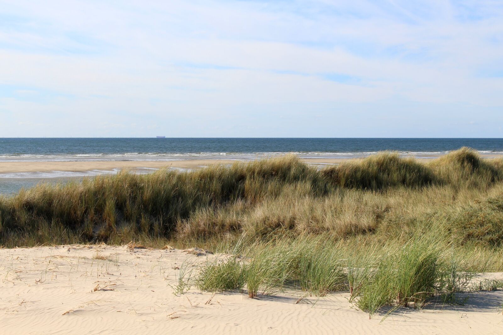 Canon EOS 700D (EOS Rebel T5i / EOS Kiss X7i) sample photo. Langeoog, island, east frisia photography
