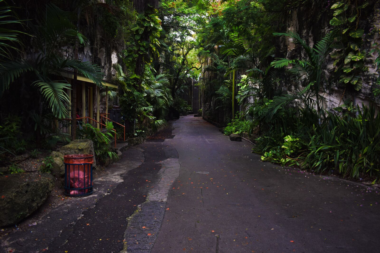 Nikon D5300 sample photo. Stairs, green, dark photography