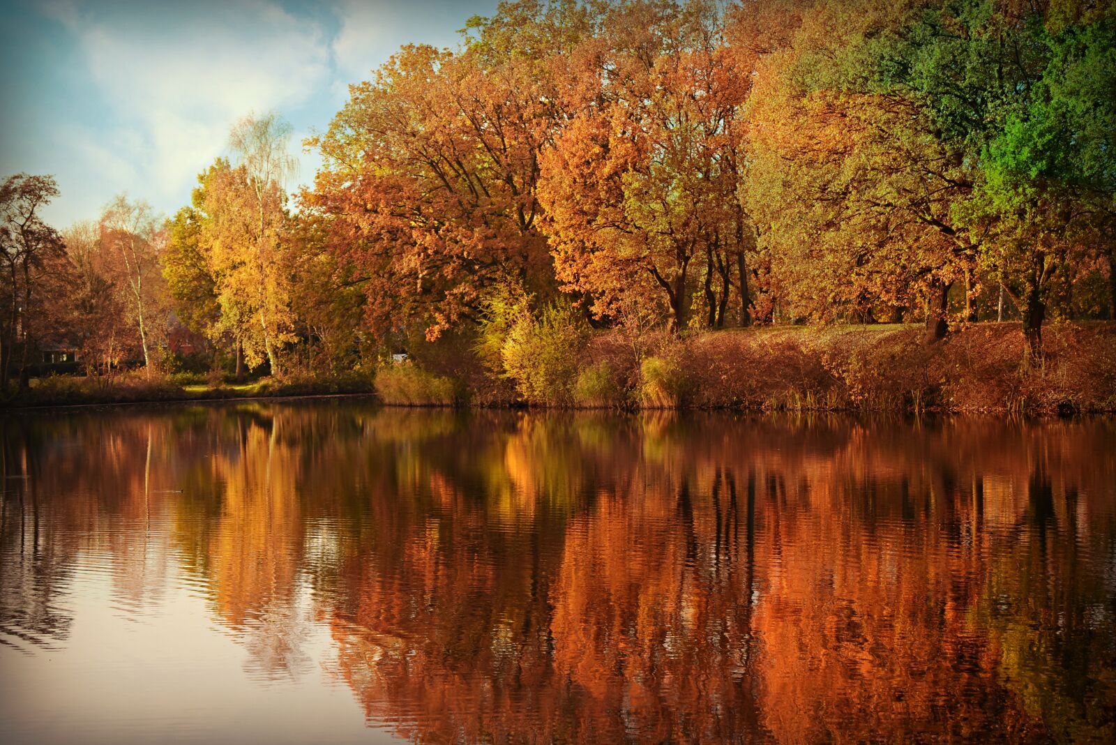 Nikon D750 sample photo. Pond, water, still waters photography