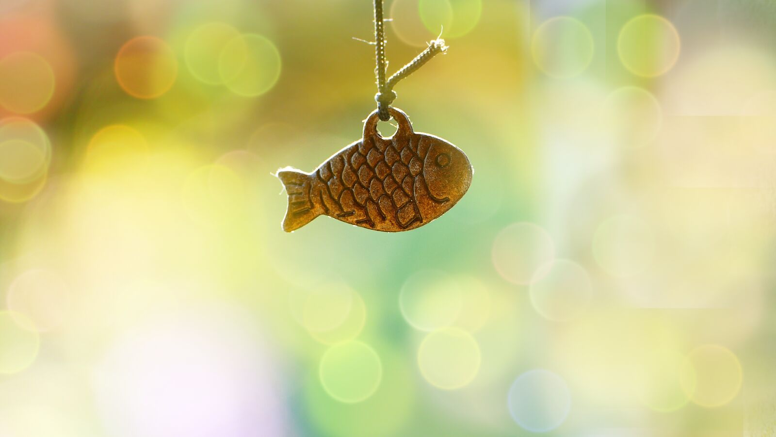 Panasonic Lumix DMC-FZ1000 sample photo. Fish, scales, pendant photography