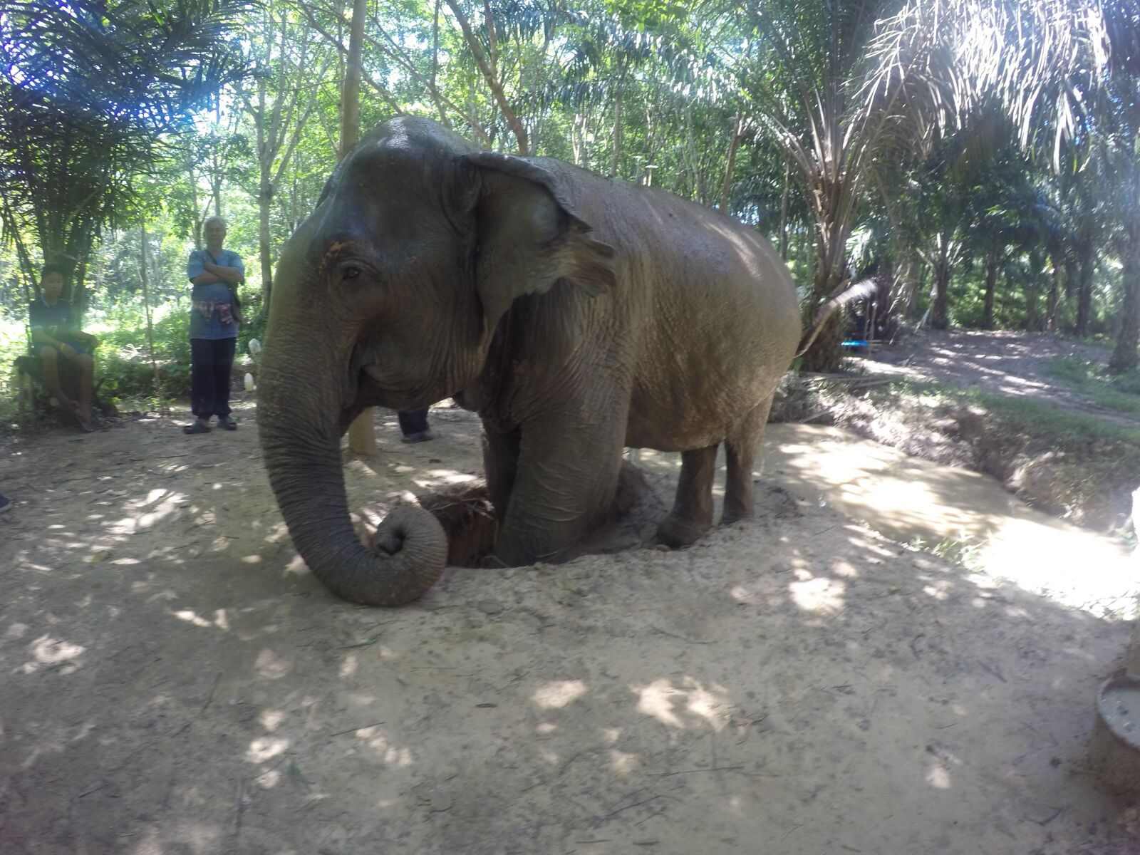 GoPro HERO4 Silver sample photo. Thailand, travel, elephant photography
