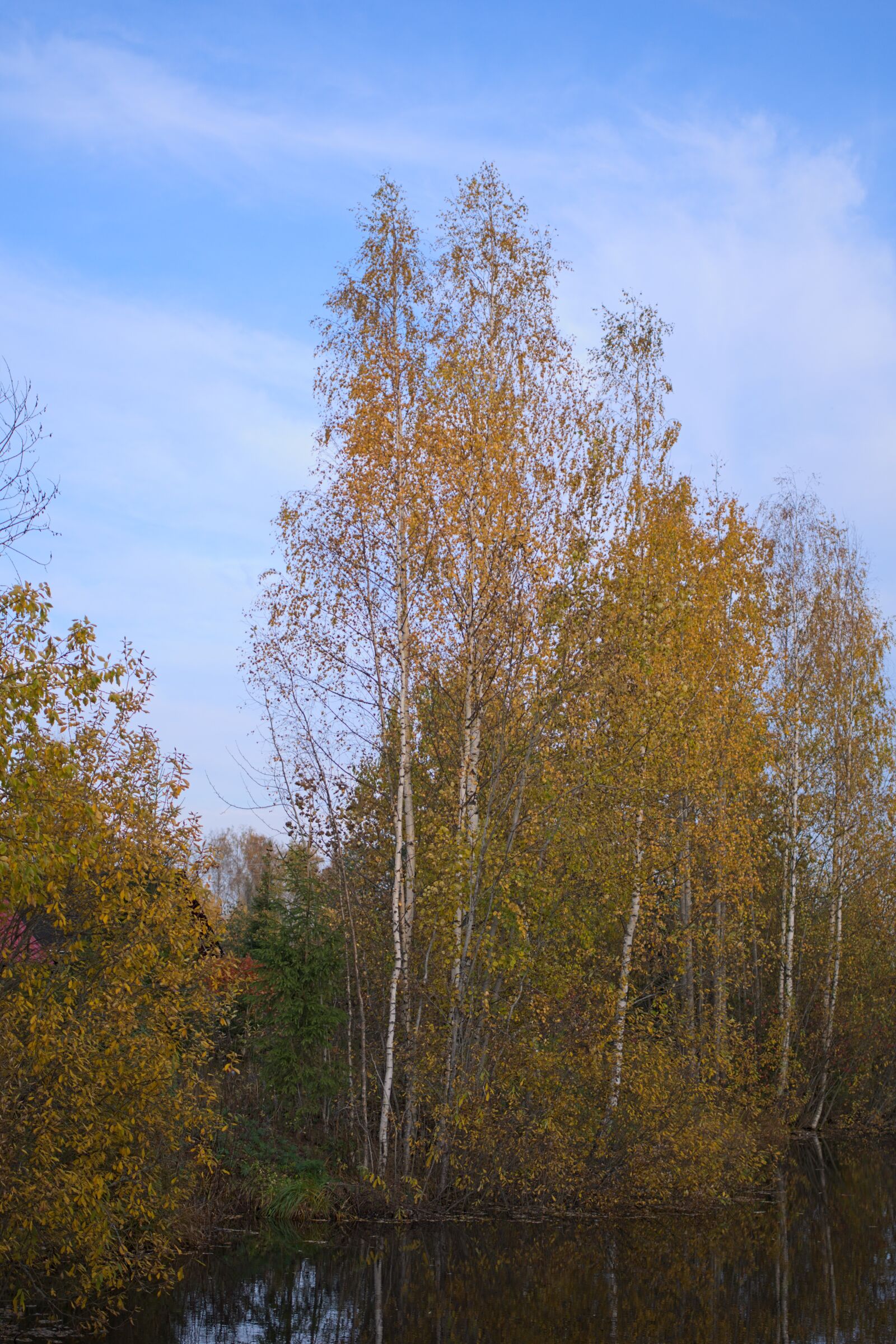 Pentax K-70 sample photo. Nature, landscape, tree photography