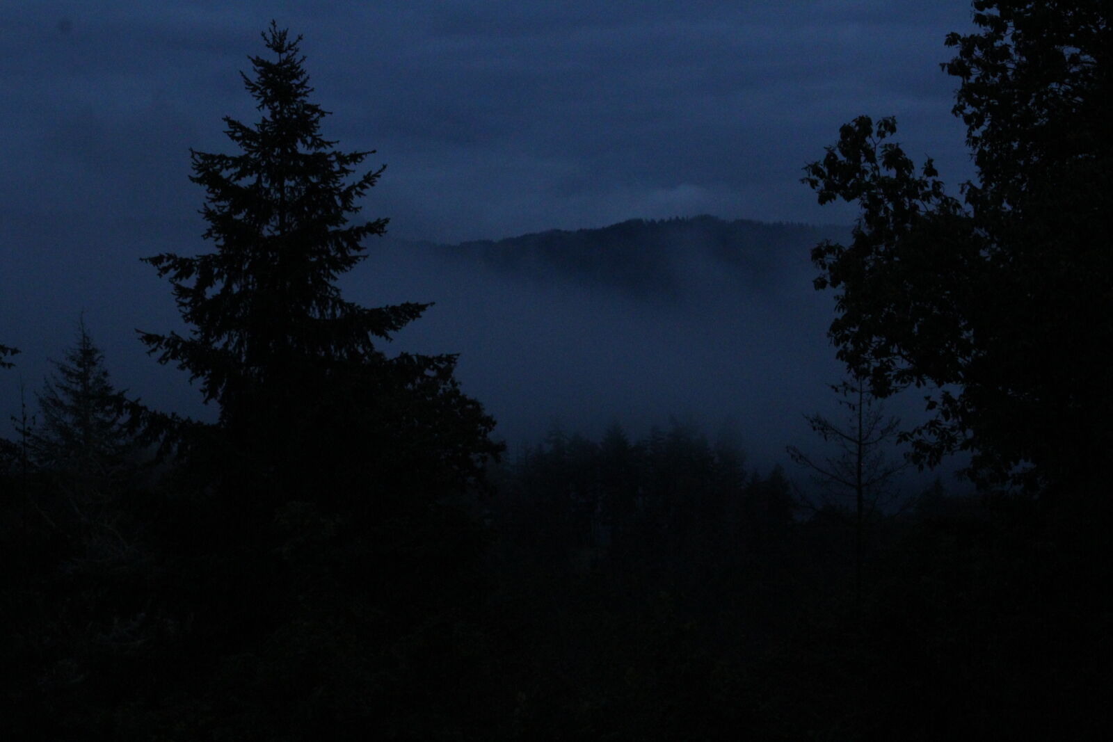 Canon EF 75-300mm f/4-5.6 sample photo. Morning photography