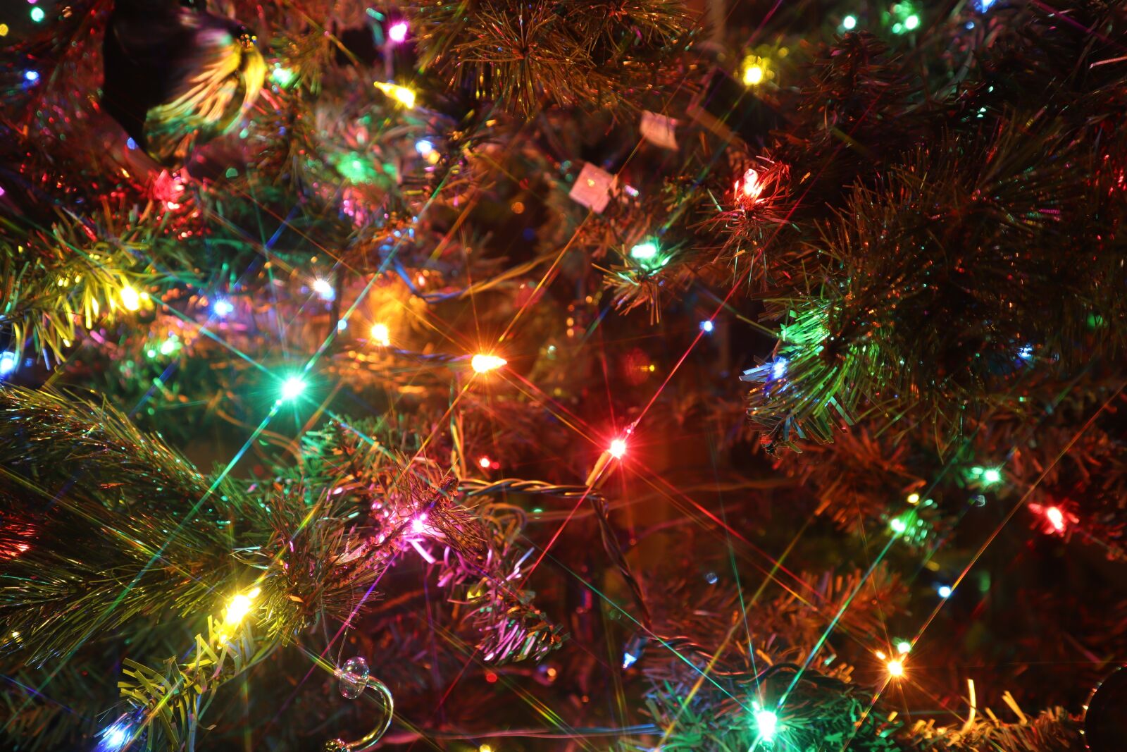 Canon EF-M 15-45mm F3.5-6.3 IS STM sample photo. Xmas, christmas lights, tree photography