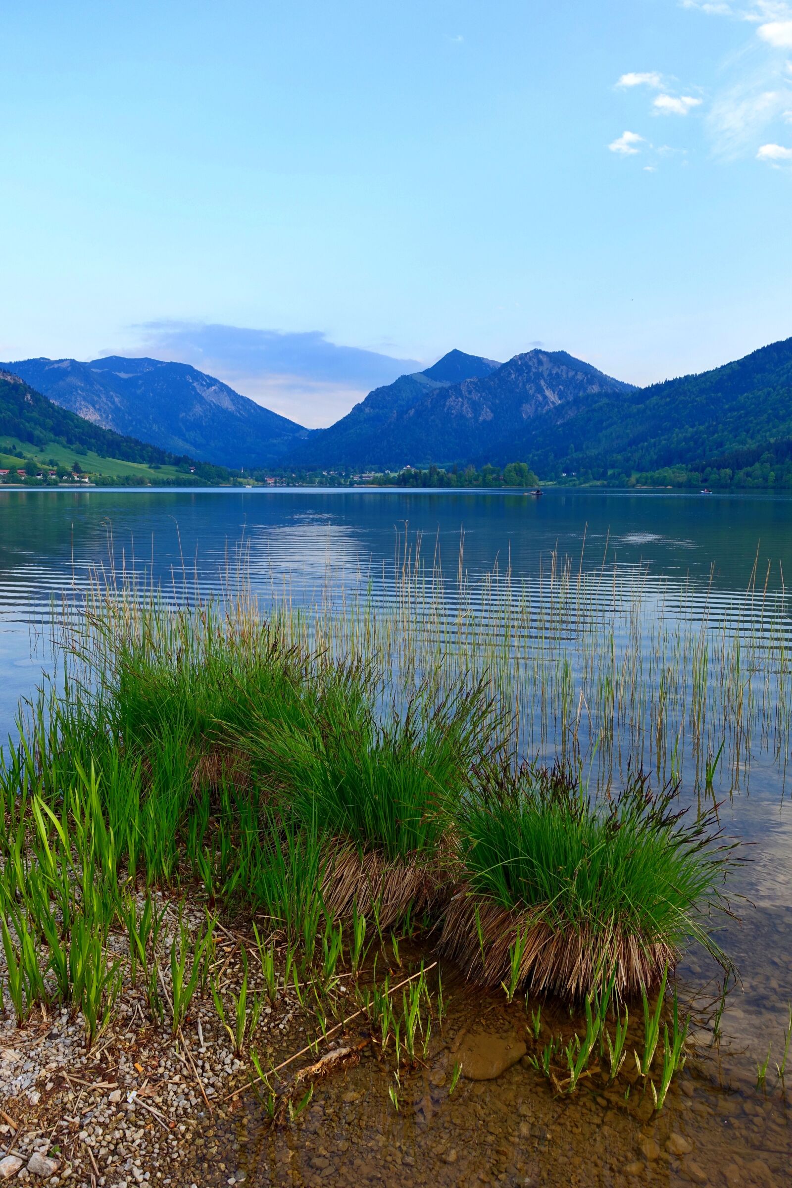Sony Cyber-shot DSC-RX100 III sample photo. Shore, lake, peaceful photography