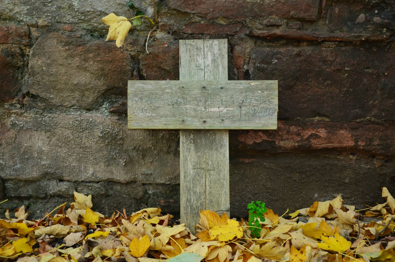 Nikon D5100 sample photo. Grave, animal grave, mourning photography