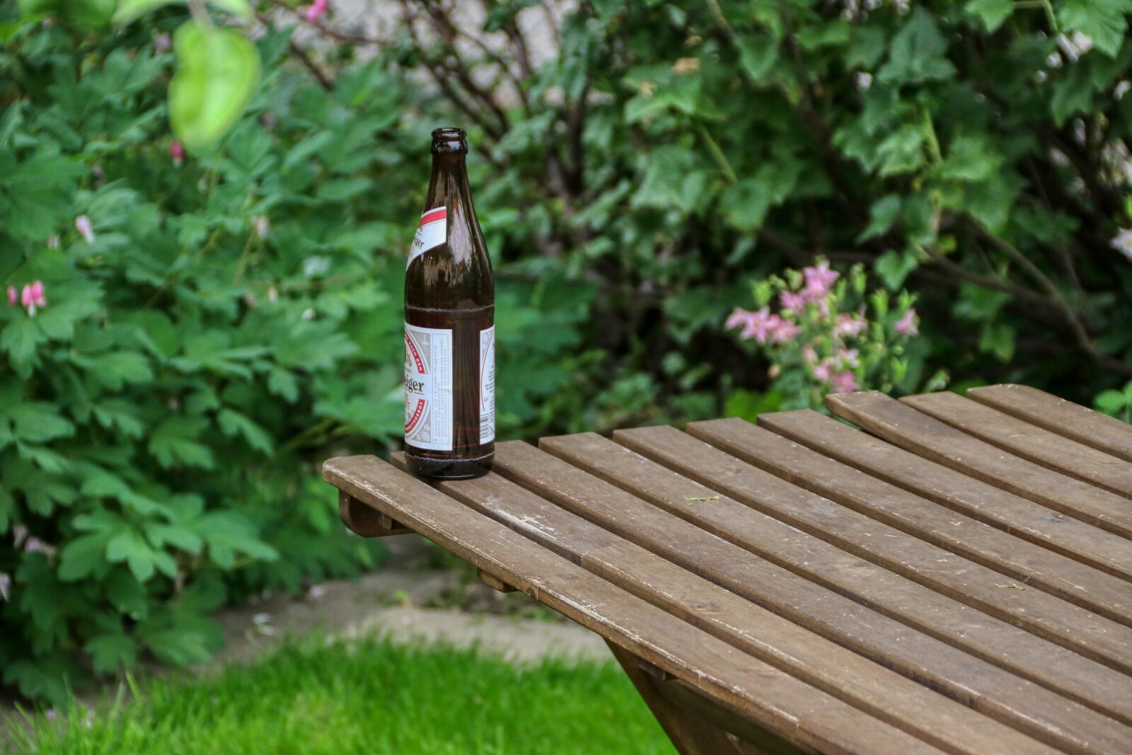 Canon EOS 80D sample photo. Beer, beer garden, drink photography