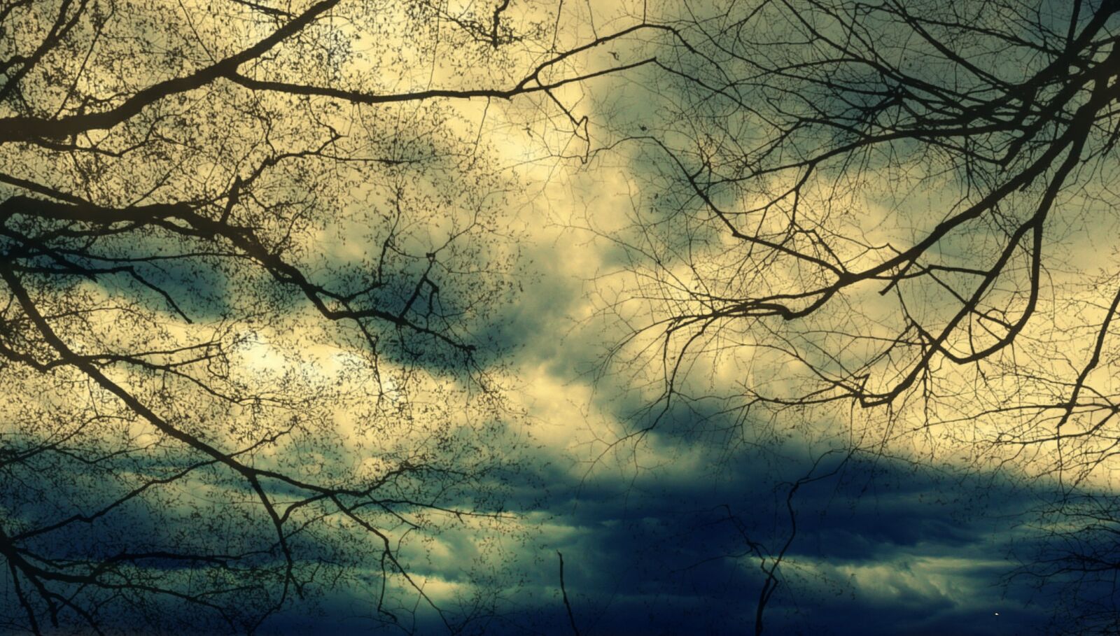 Canon EOS 1200D (EOS Rebel T5 / EOS Kiss X70 / EOS Hi) sample photo. Trees, clouds, storm photography