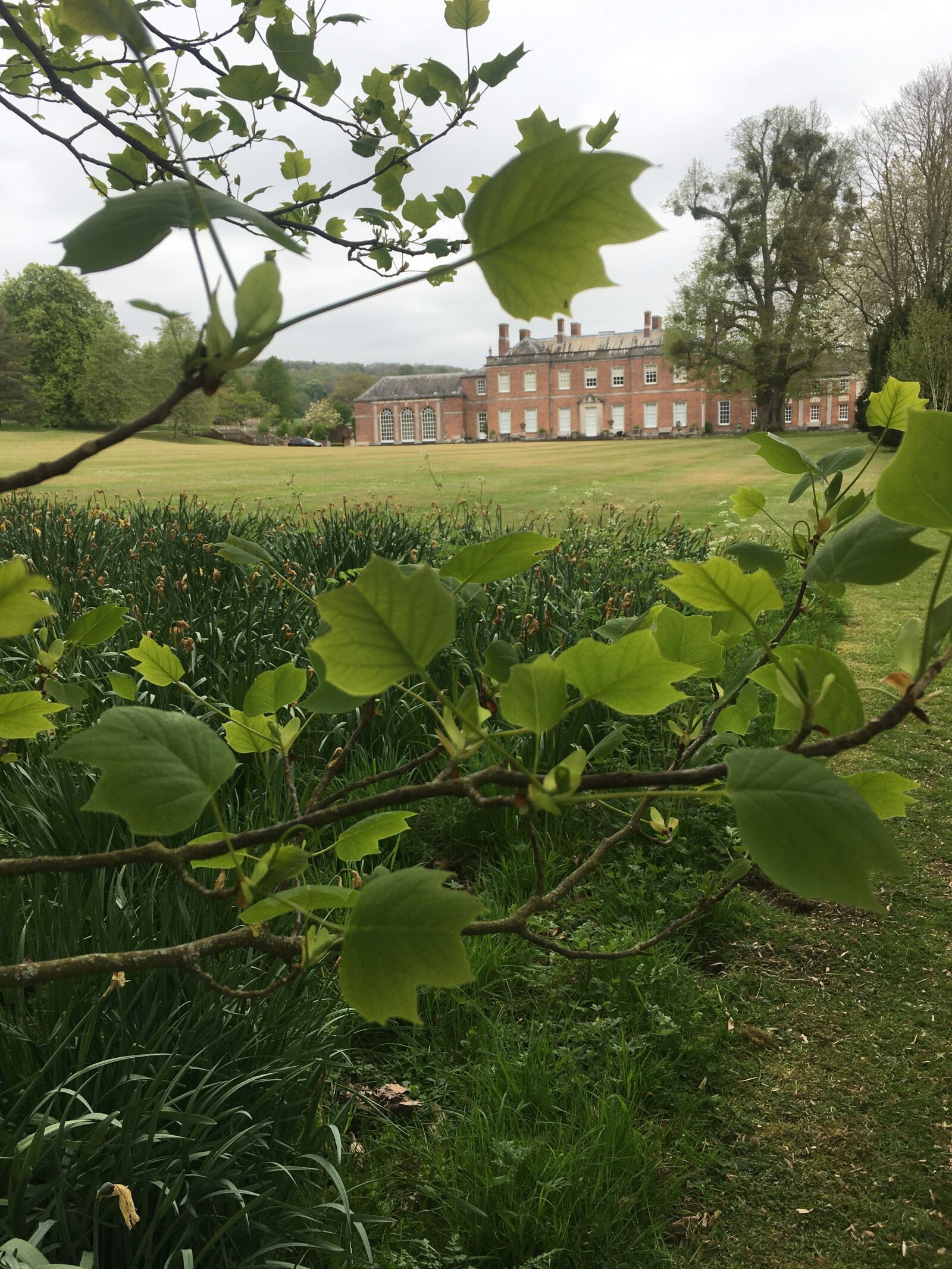 Apple iPhone 6s sample photo. Godmersham park, mansion, jane photography
