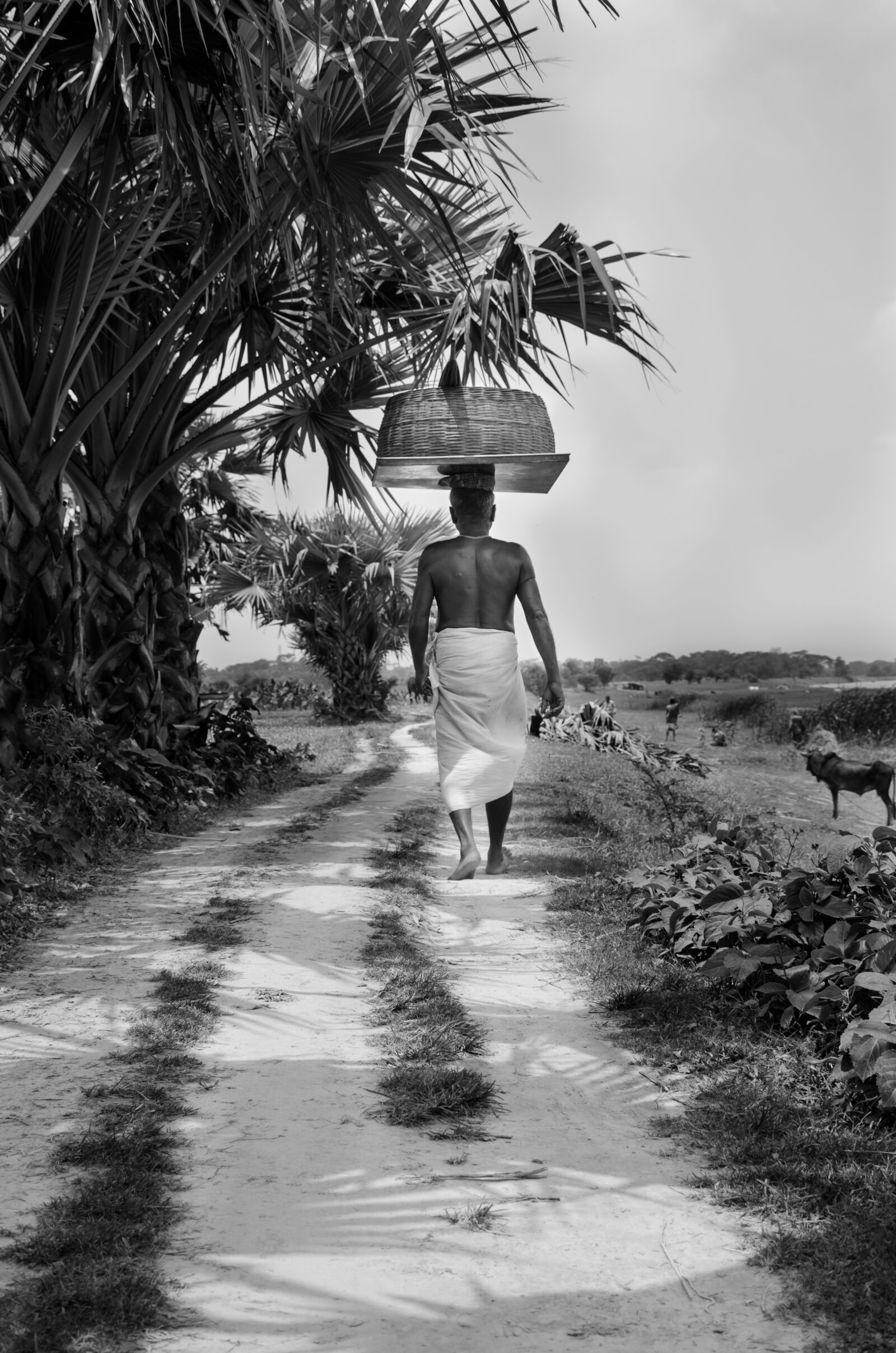 Nikon D7000 sample photo. Man, walking, road photography