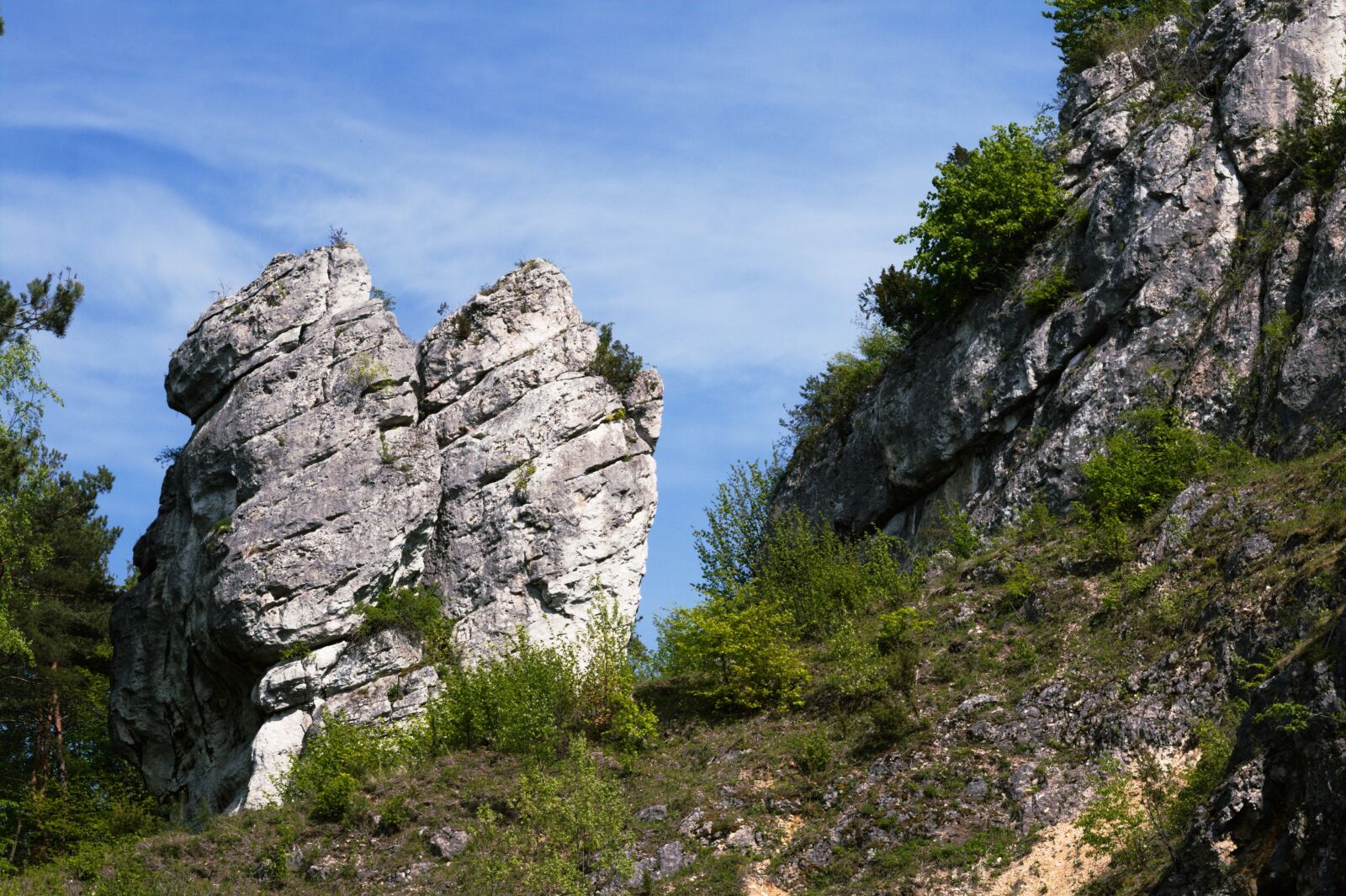 Canon EOS 400D (EOS Digital Rebel XTi / EOS Kiss Digital X) sample photo. Jura krakowsko-czestochowa, rocks, view photography
