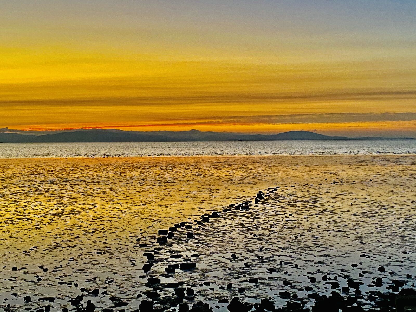 Apple iPhone 11 Pro Max sample photo. Sunset, go to beach photography