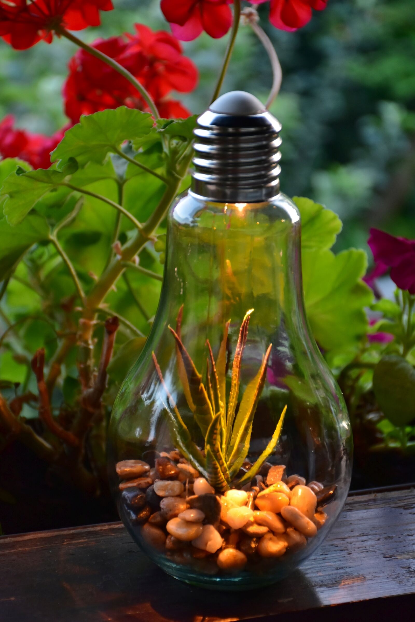 Nikon D7200 sample photo. Light bulb, lamp, decoration photography