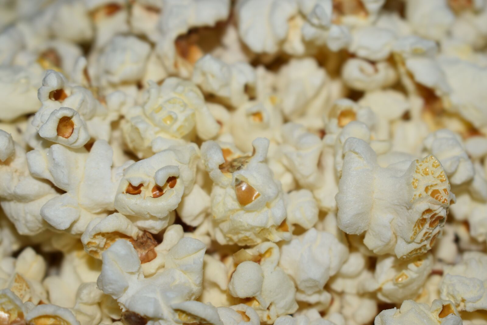 Nikon D3500 sample photo. Popcorn, corn, grains photography