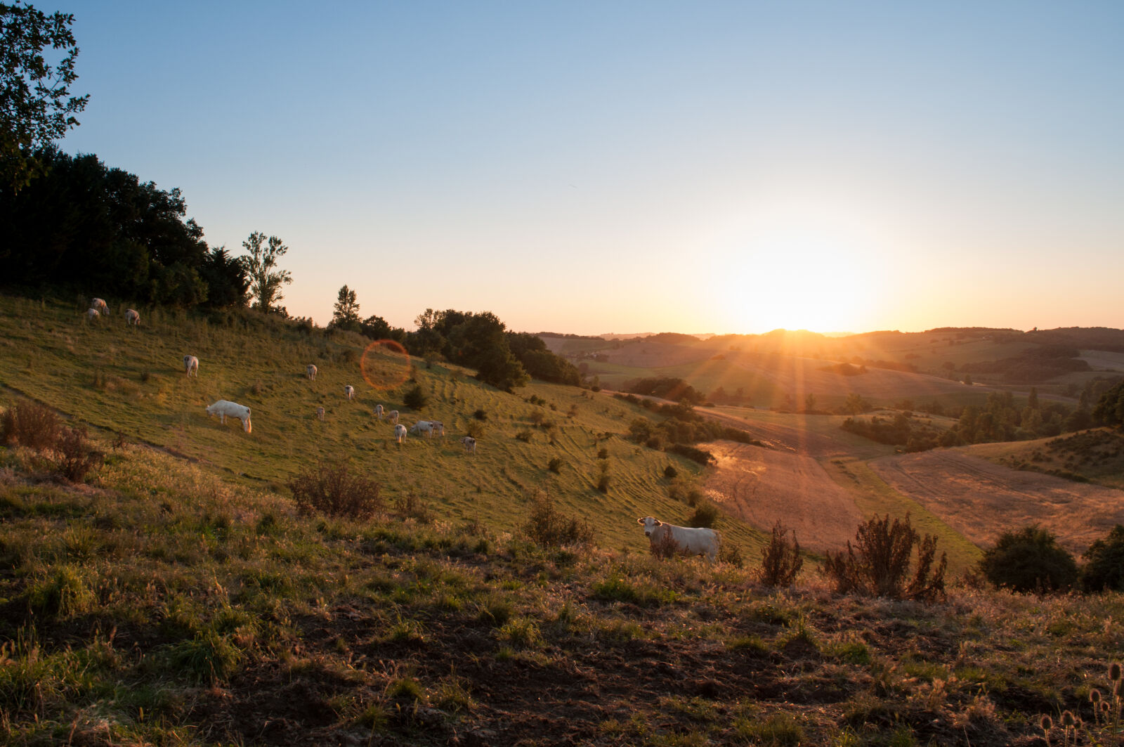 Nikon D5000 sample photo. Dawn, sunset, sunrise, hill photography