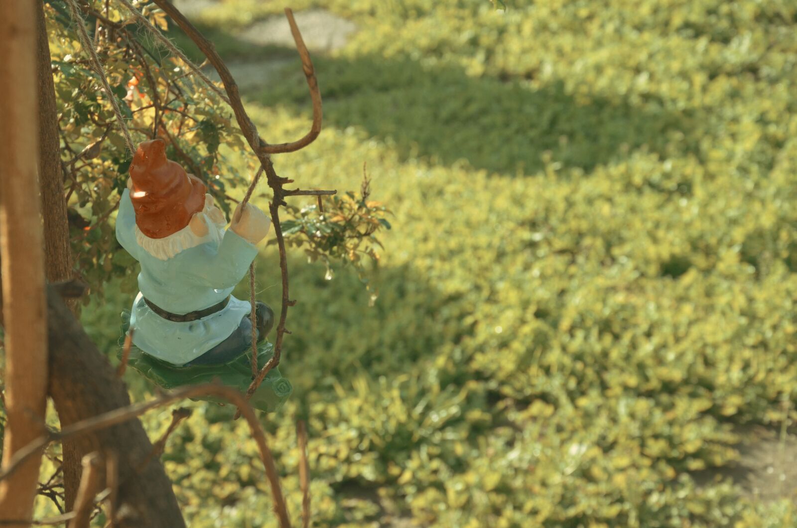 Nikon D7000 sample photo. Gnome, garden, dwarf photography