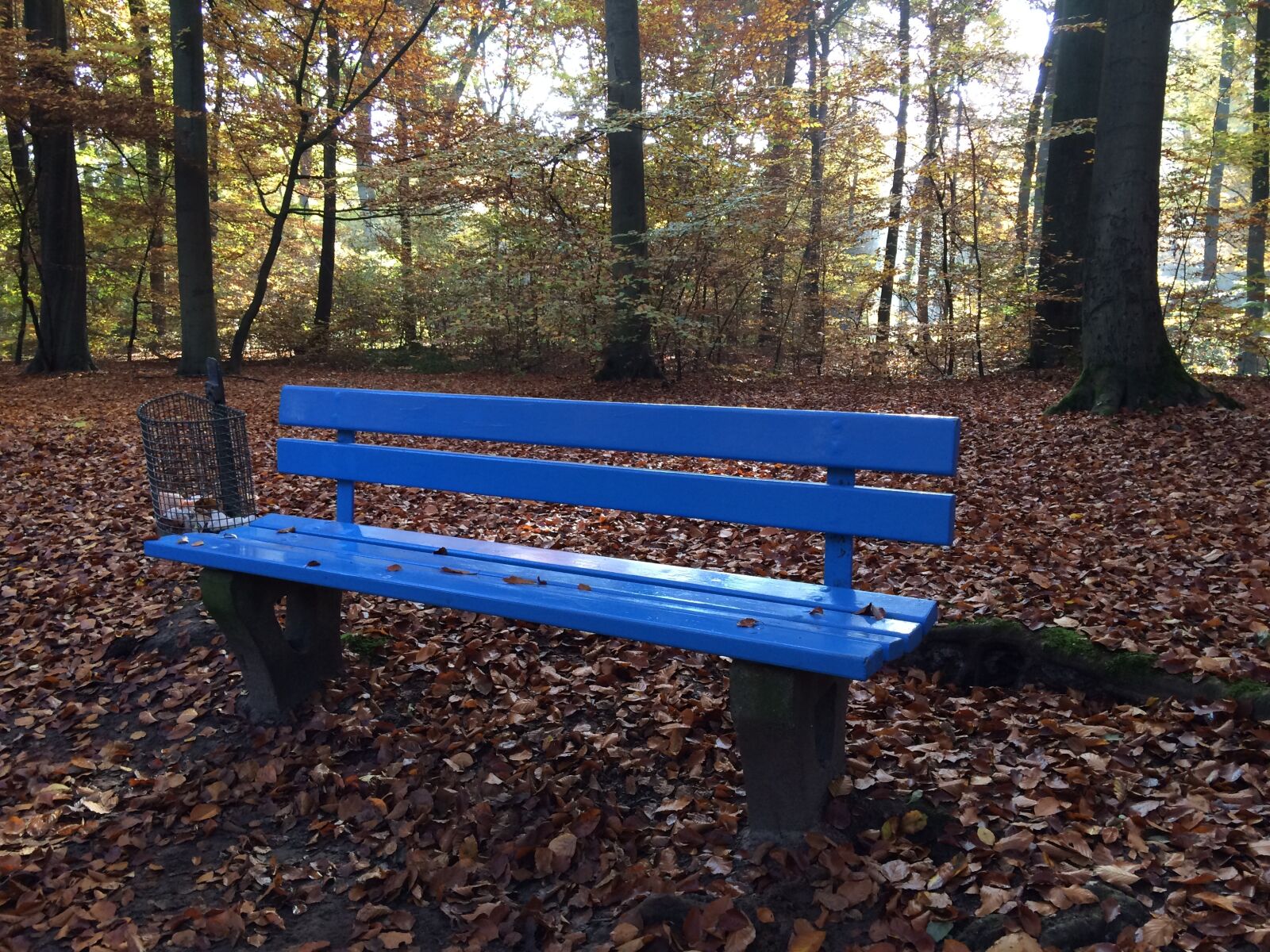 iPhone 5s back camera 4.15mm f/2.2 sample photo. Bank, autumn, break photography