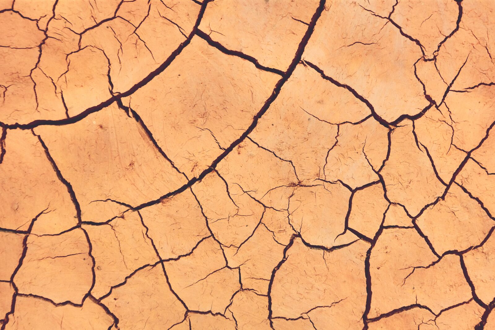 Fujifilm X-M1 sample photo. Drought, arid, desert photography