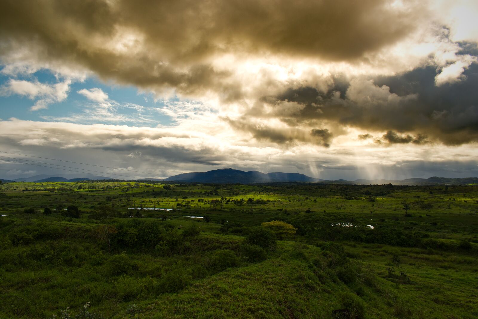 Nikon D5600 sample photo. Landscape, grass, field photography