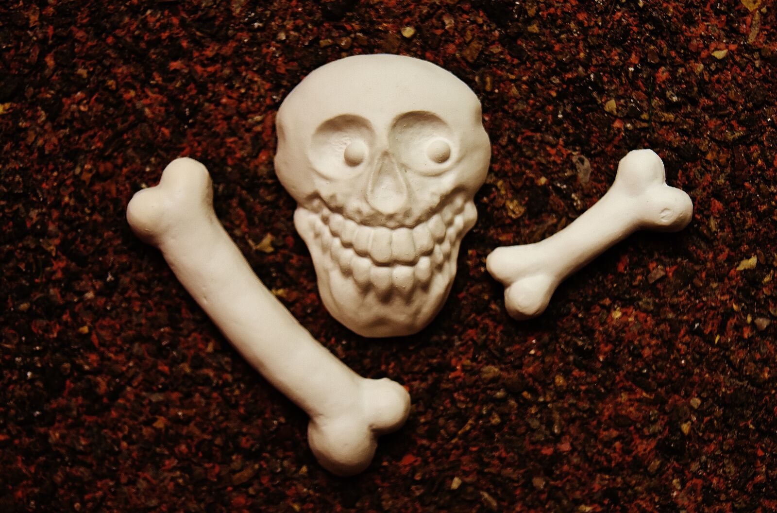 Nikon D7200 sample photo. Skull and crossbones, bone photography