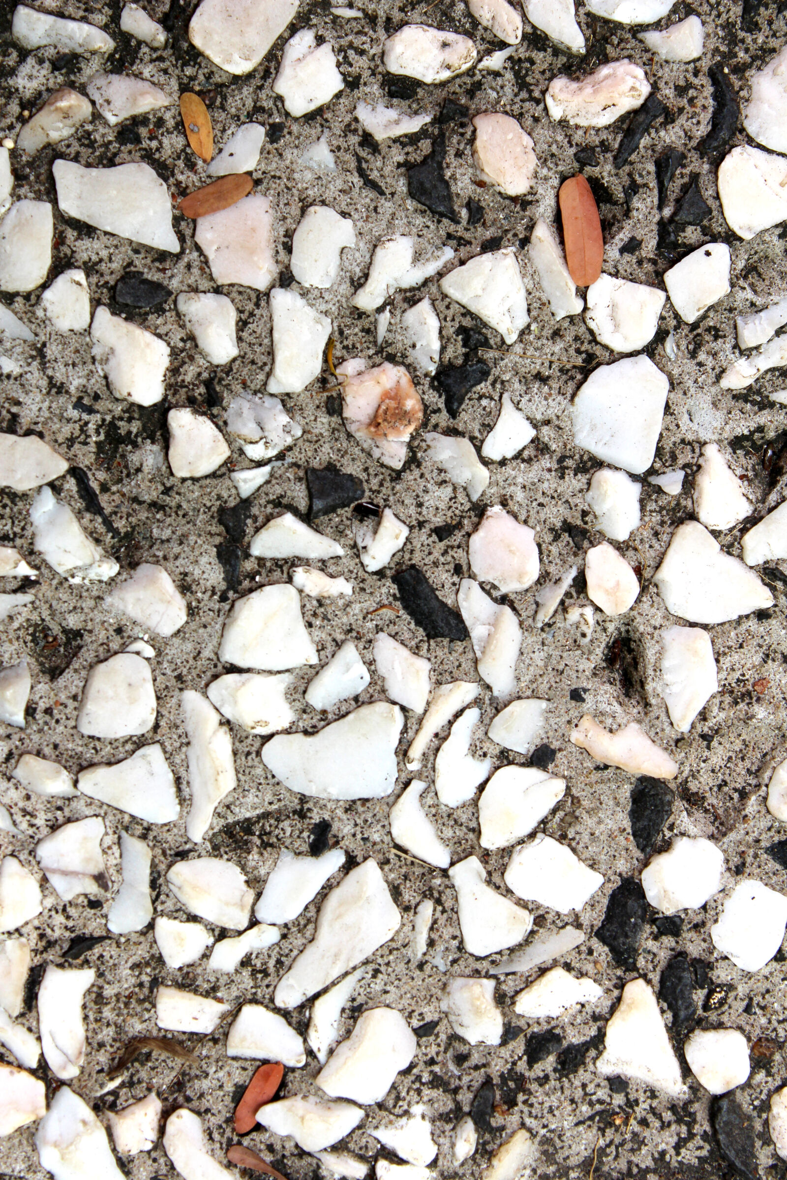 Canon EOS 650D (EOS Rebel T4i / EOS Kiss X6i) sample photo. Abstract, cement, ceramic, concrete photography