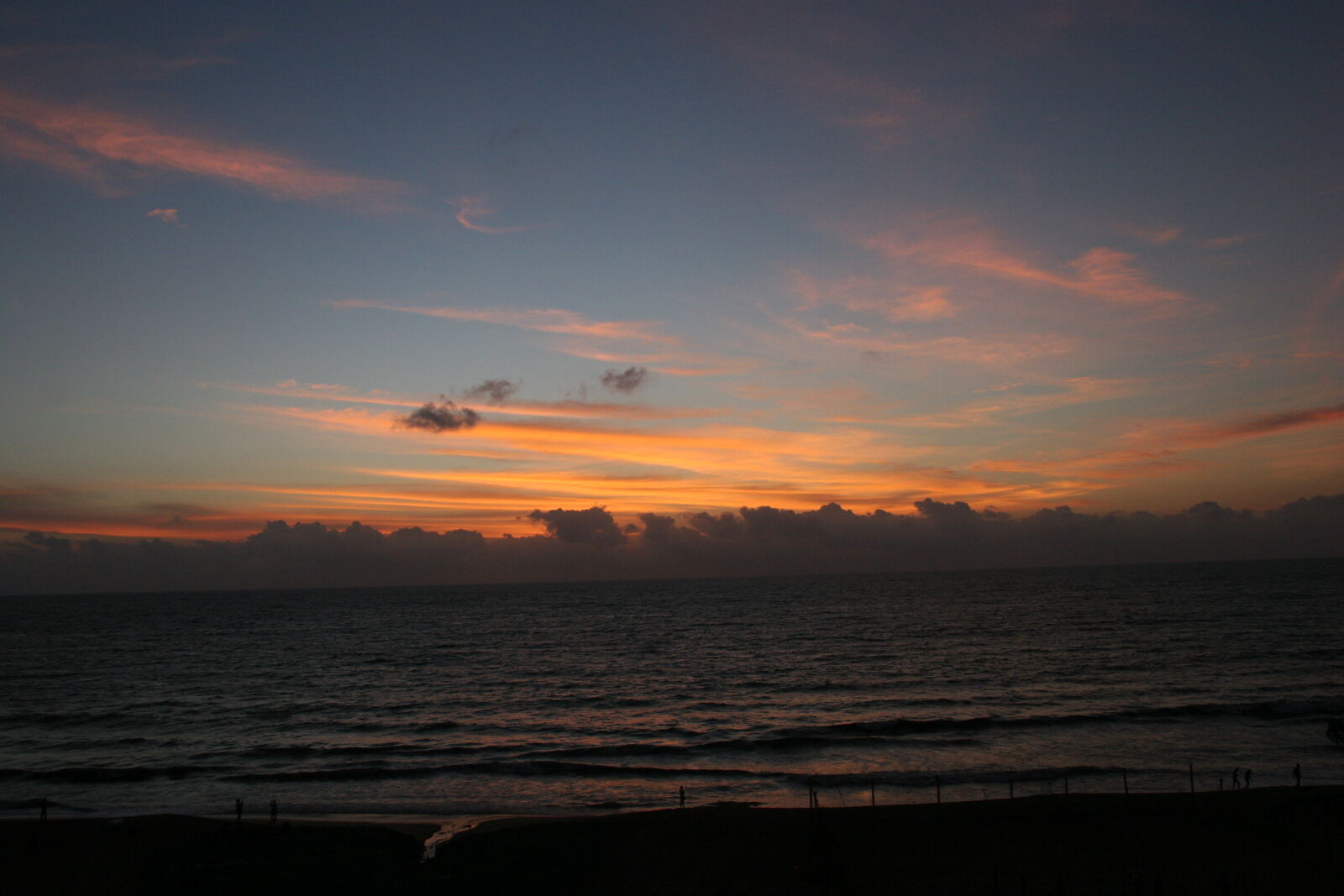 Canon EOS 20D sample photo