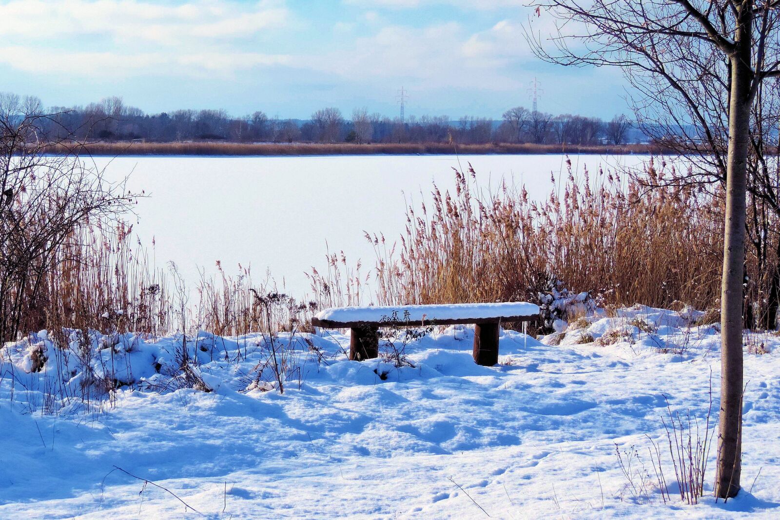 Nikon Coolpix P520 sample photo. Landscape, lake, frozen photography