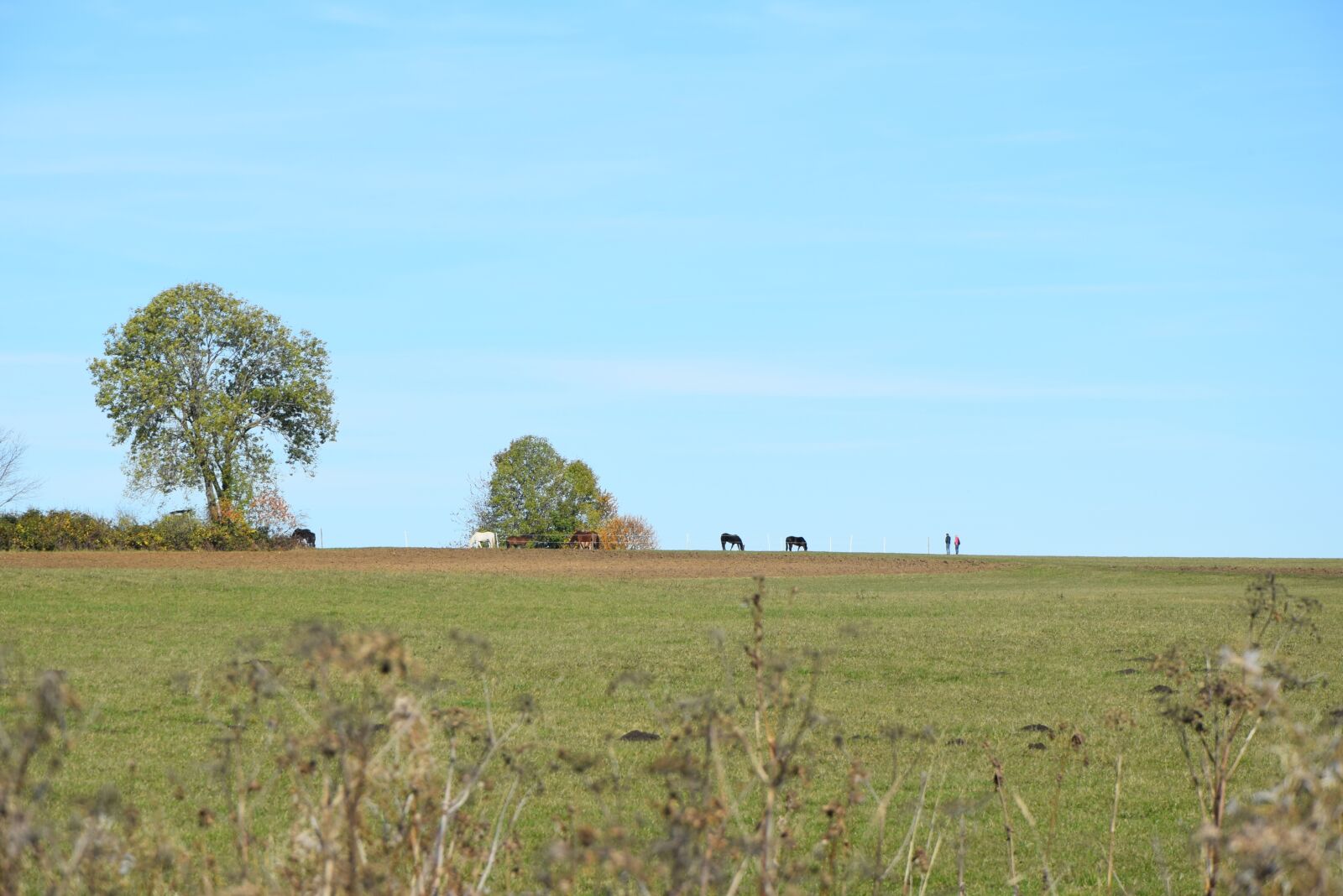 Nikon D3300 sample photo. Rand ecker maar, autumn photography