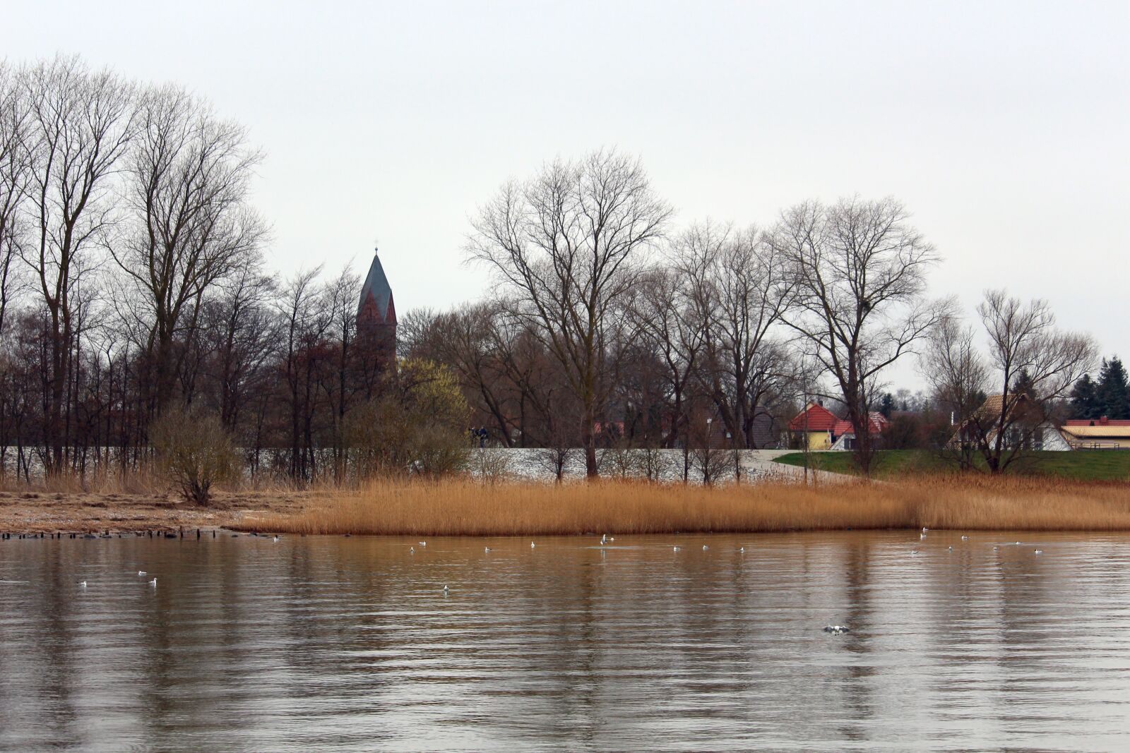 Canon EF-S 55-250mm F4-5.6 IS STM sample photo. Wieck, greifswald, waters photography