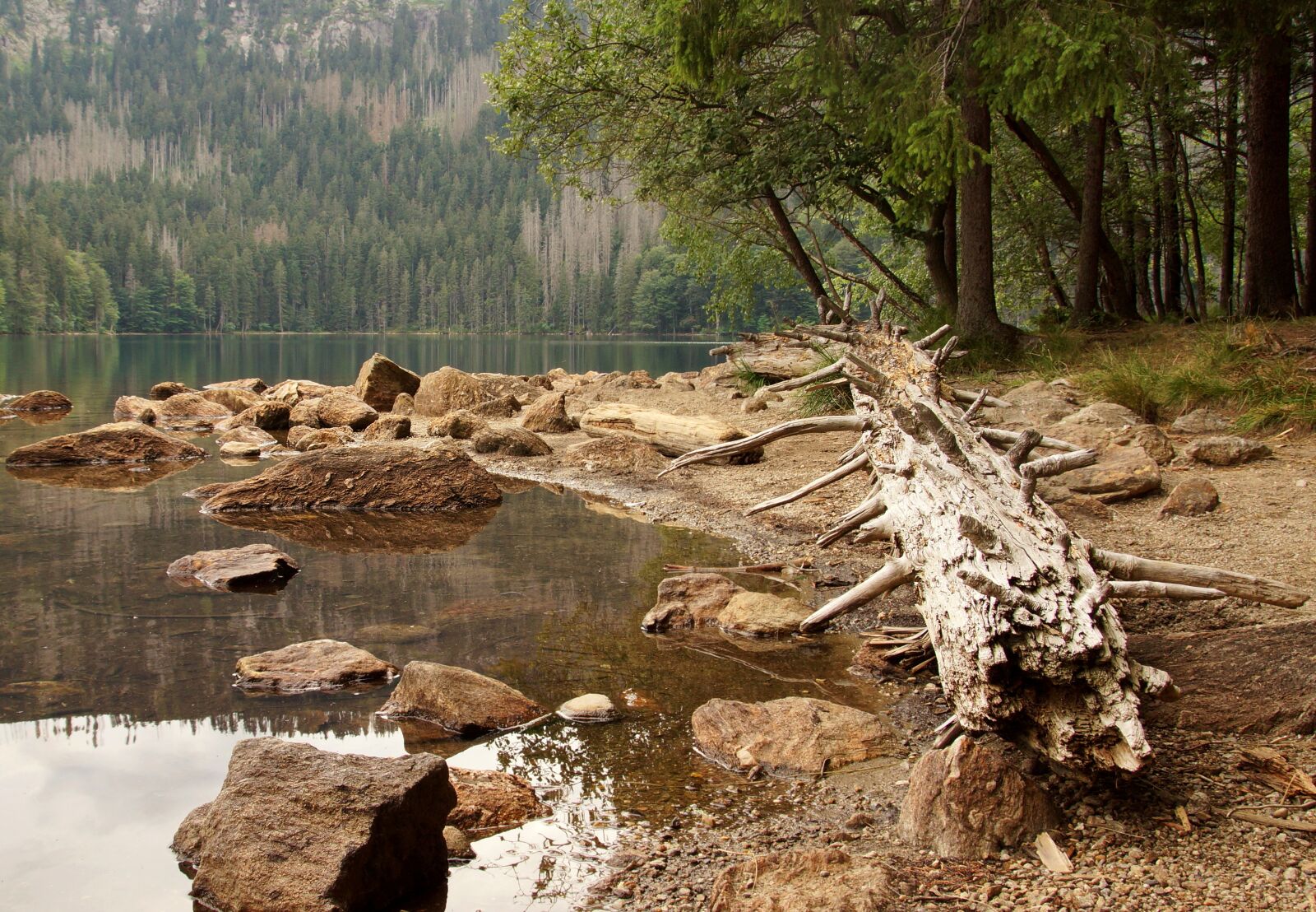 Sony SLT-A65 (SLT-A65V) sample photo. Black lake, lake, water photography