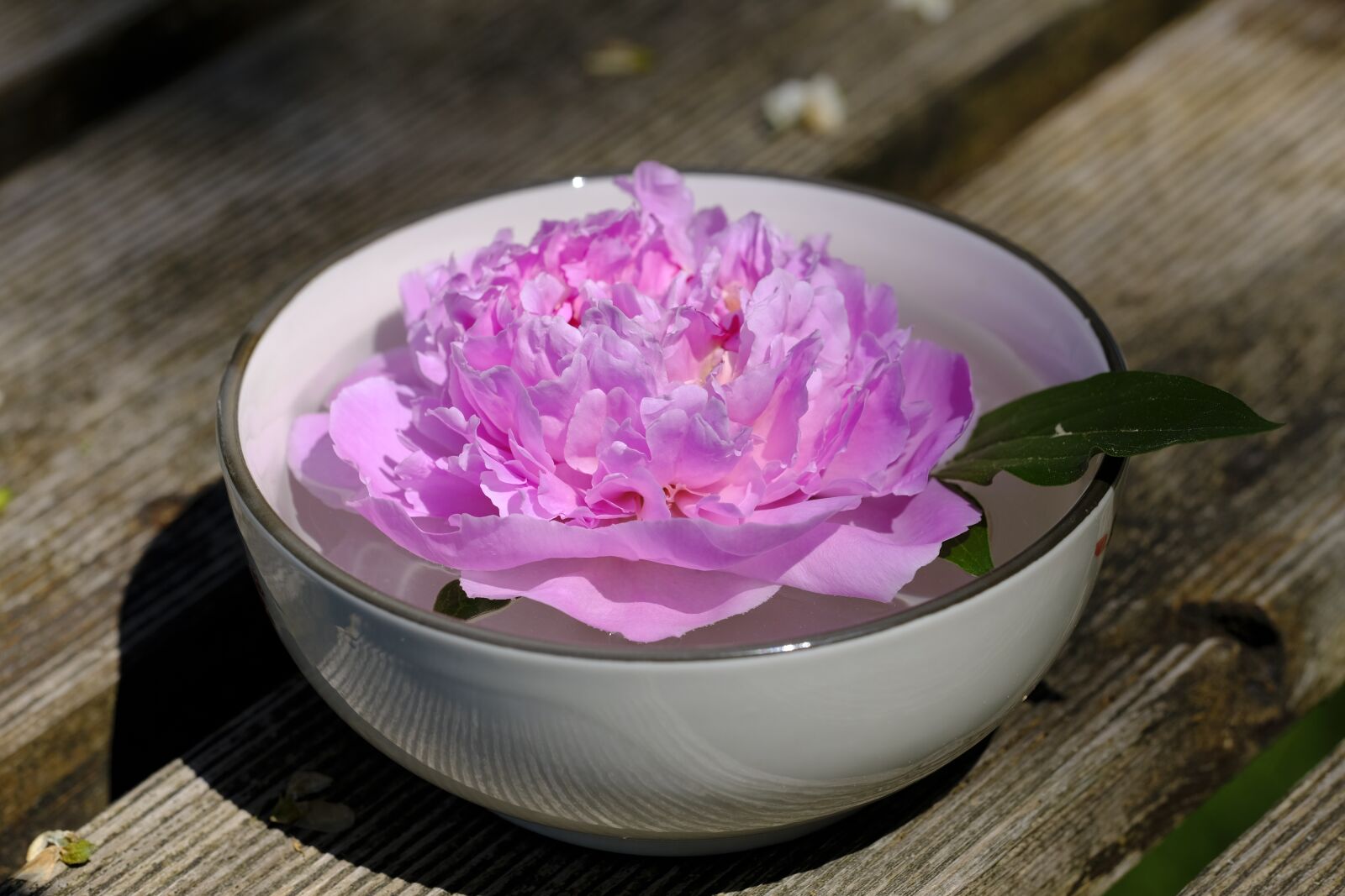Fujifilm X-T2 + Fujifilm XF 80mm F2.8 R LM OIS WR Macro sample photo. Wellness, beauty, relaxation photography