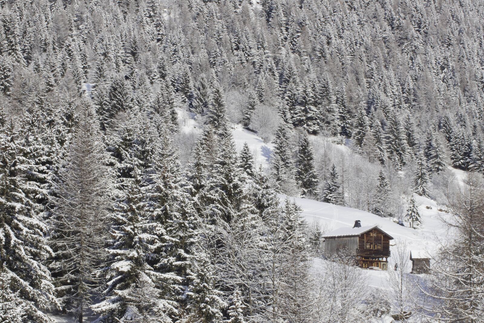 Canon EOS 600D (Rebel EOS T3i / EOS Kiss X5) sample photo. Winter, mountains, chalet photography