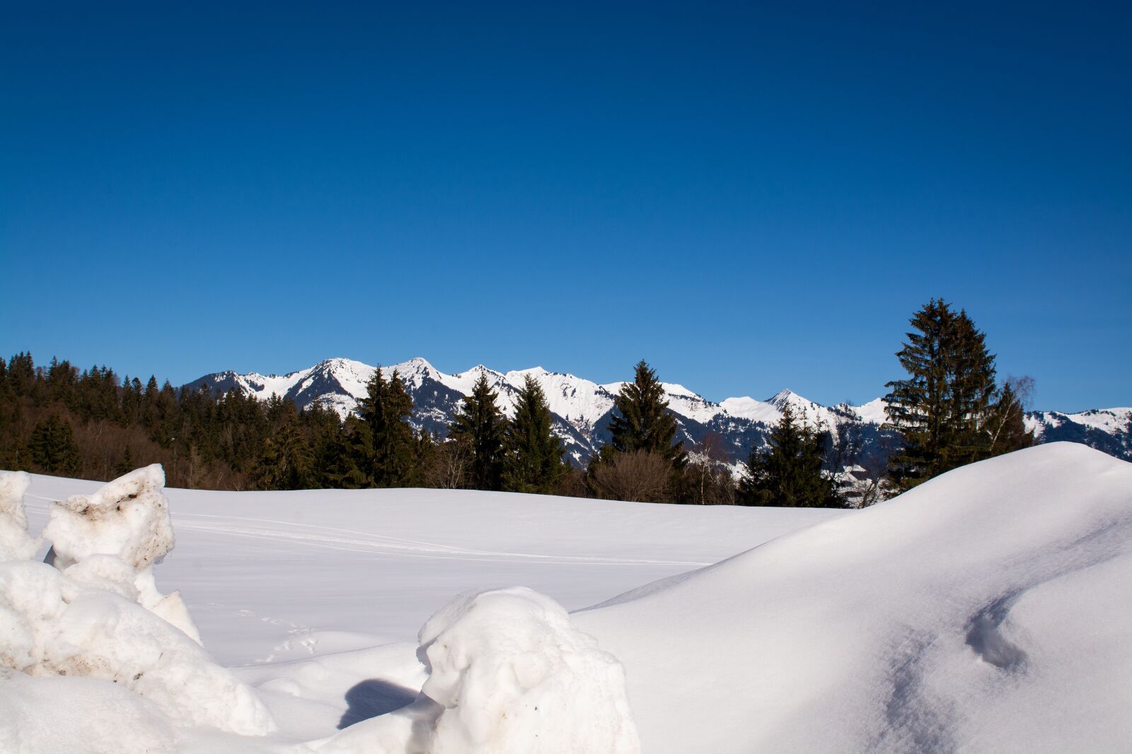 Nikon D7100 sample photo. Winter, snow, snow landscape photography