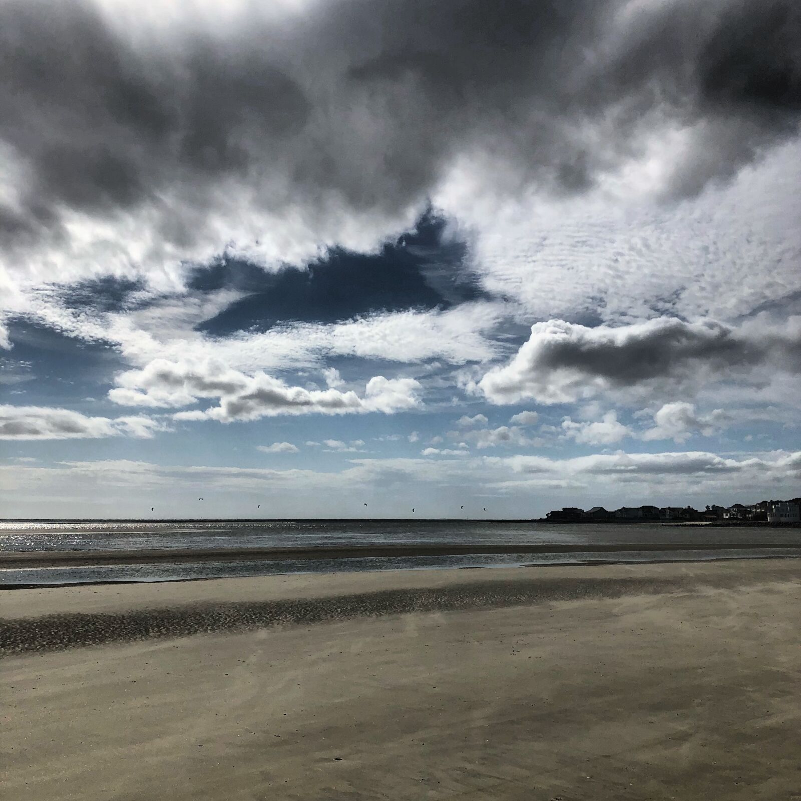 iPhone 8 Plus back dual camera 3.99mm f/1.8 sample photo. Isle of palm, beach photography