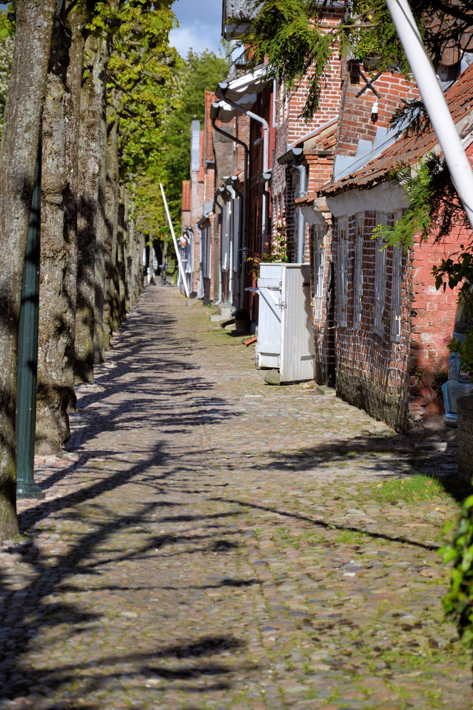 Nikon D3100 sample photo. M gelt nder, t photography