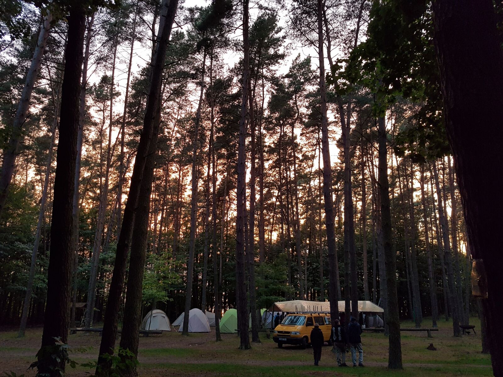 Samsung Galaxy S7 sample photo. Mirow, camp, nature photography