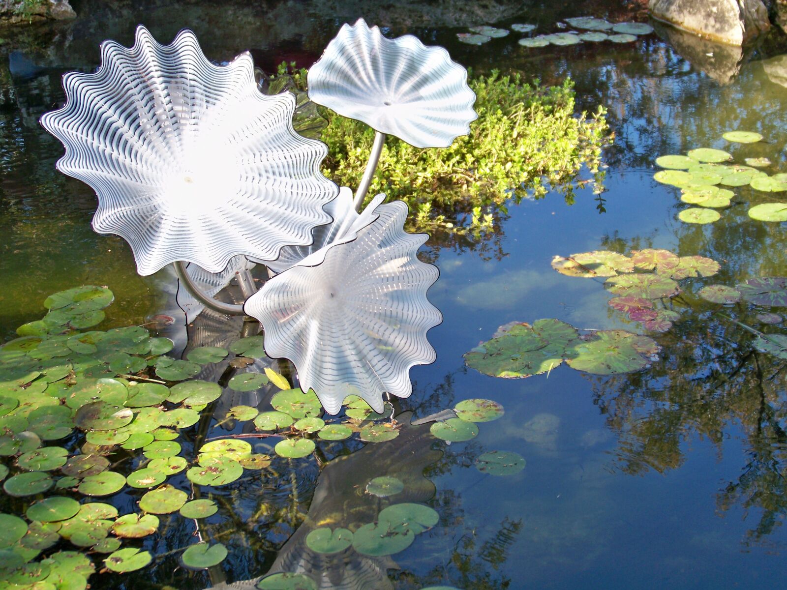 Kodak EASYSHARE Z1012 IS DIGITAL CAMERA sample photo. Lily pad, art-glass, chihuly photography