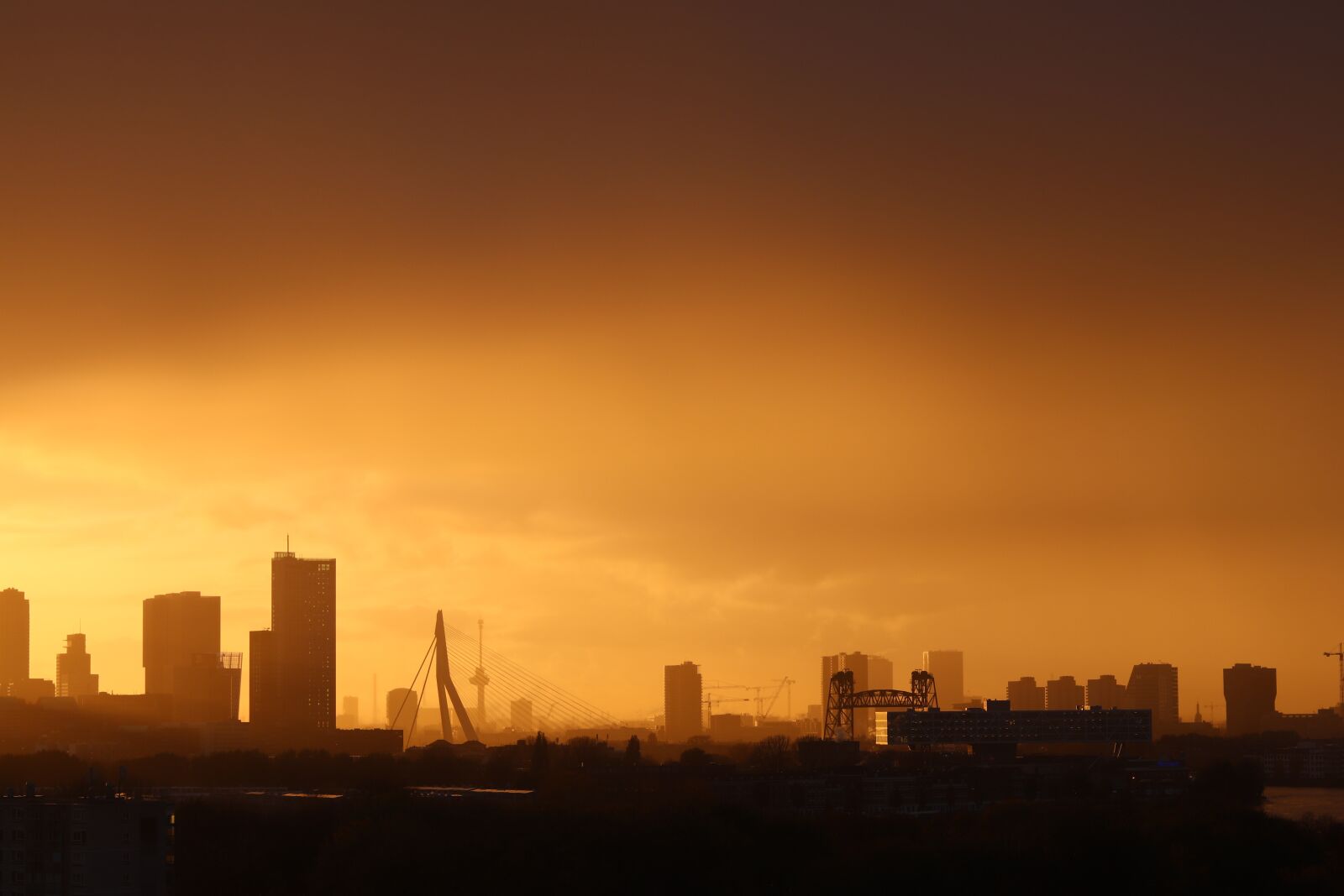 Canon EOS 200D (EOS Rebel SL2 / EOS Kiss X9) + Canon EF 50mm F1.8 STM sample photo. Rotterdam, sunset, skyline photography