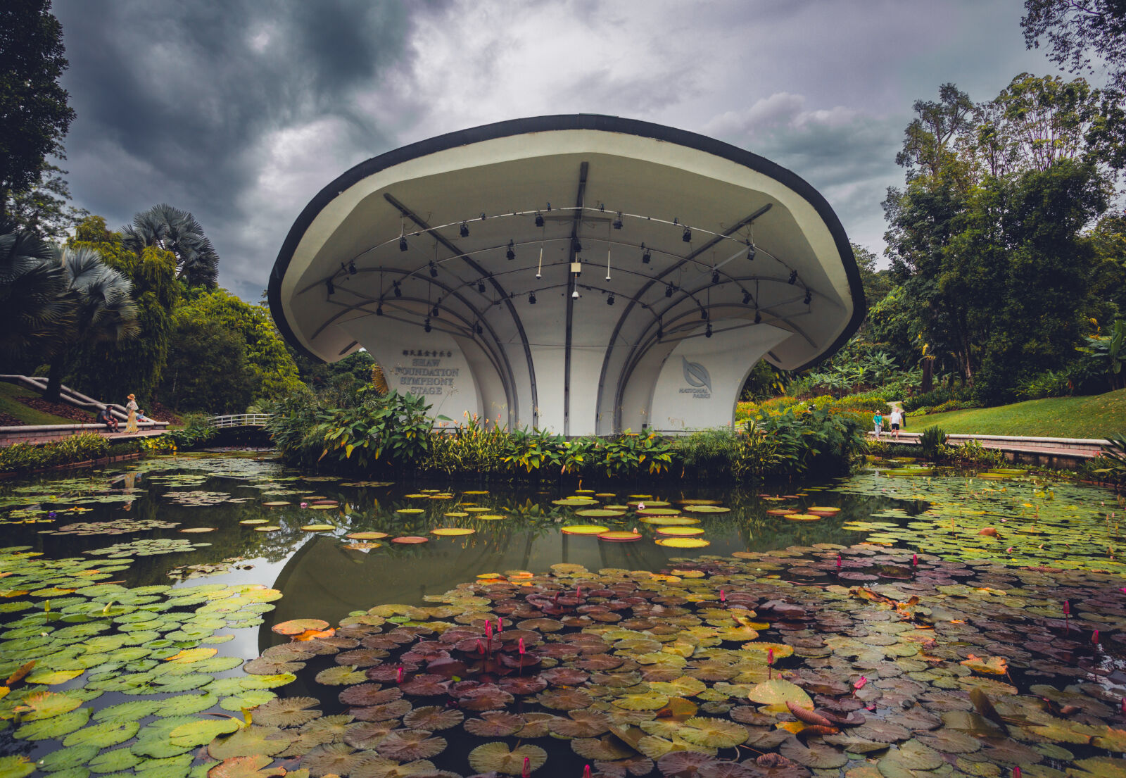 Canon EOS RP sample photo. Symphony stage - botanical photography