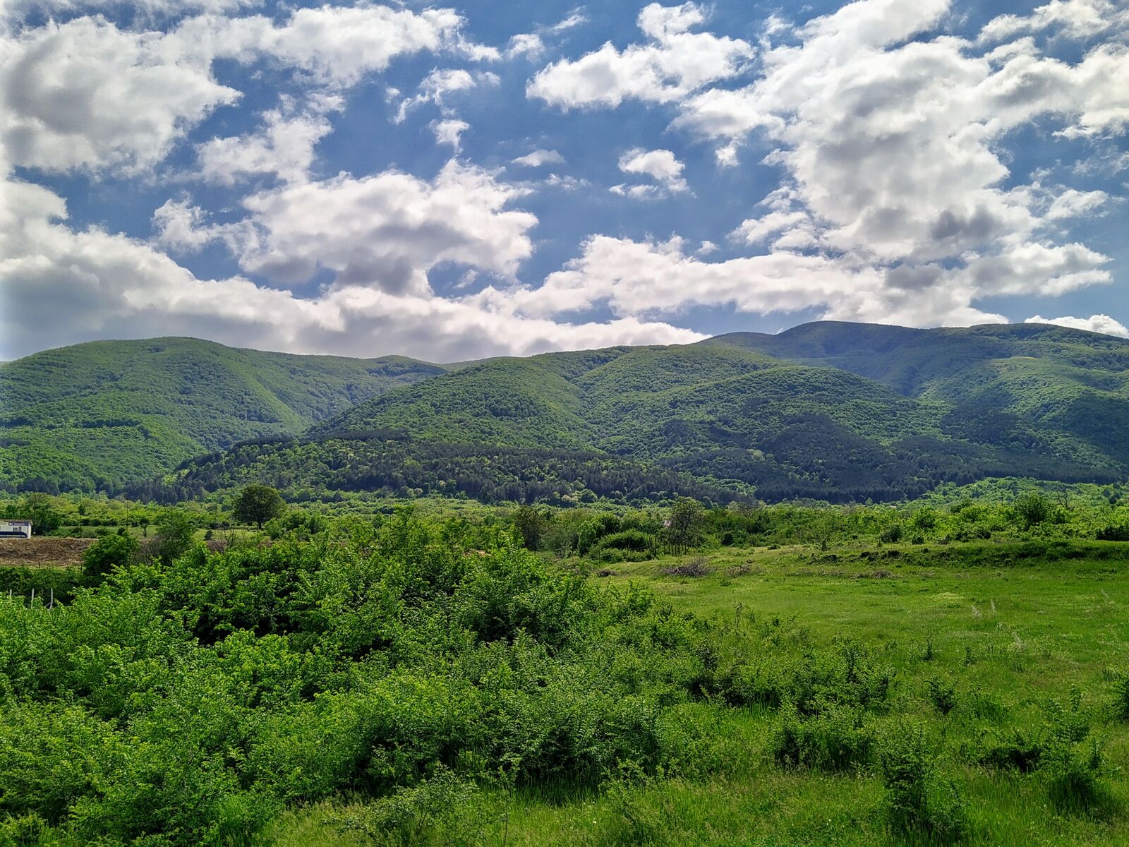 HMD Global Nokia 7.2 sample photo. паталеница, баткун, patalenitsa photography