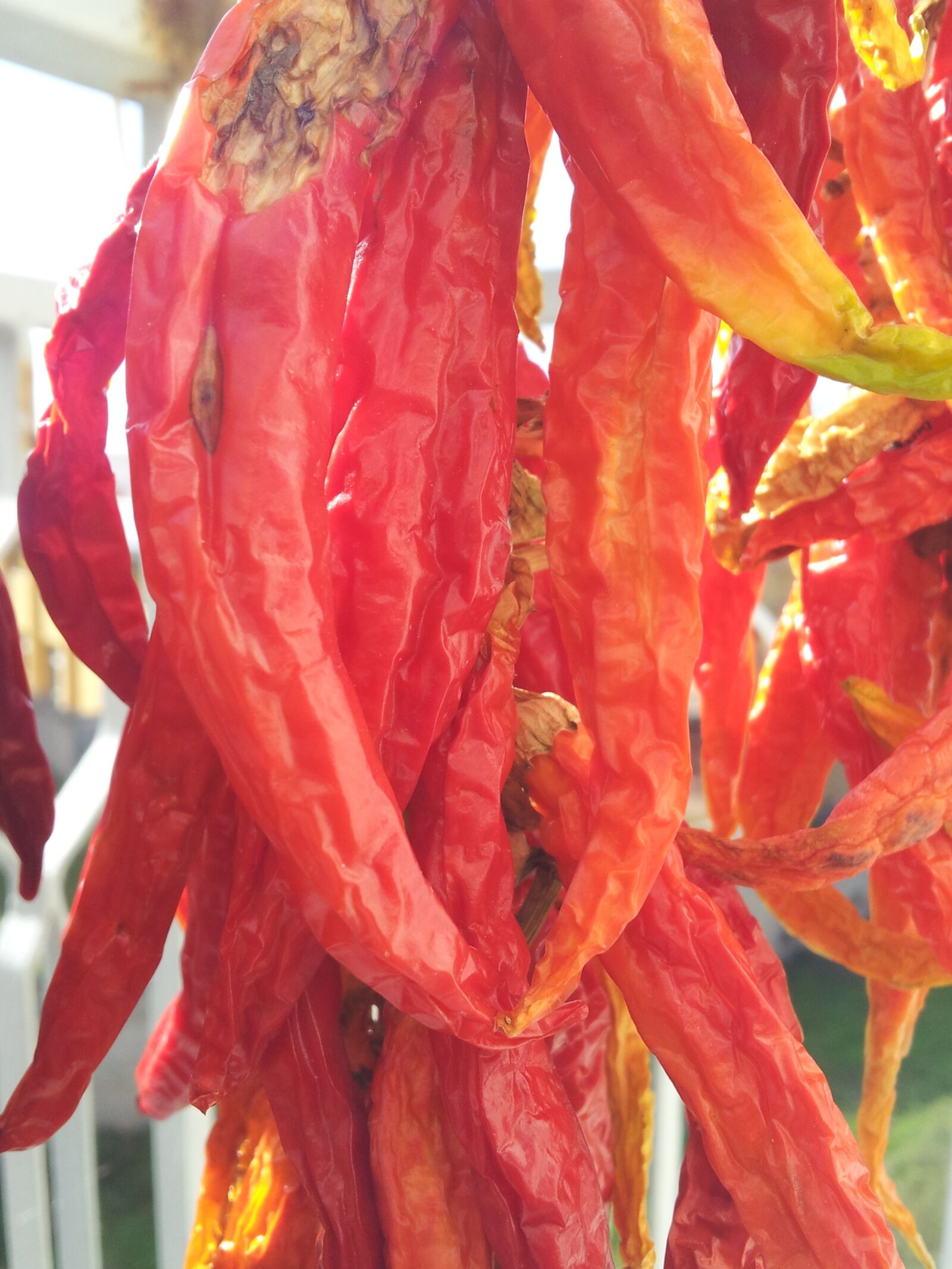 Samsung Galaxy S2 sample photo. Chilli peppers, buckets, an photography