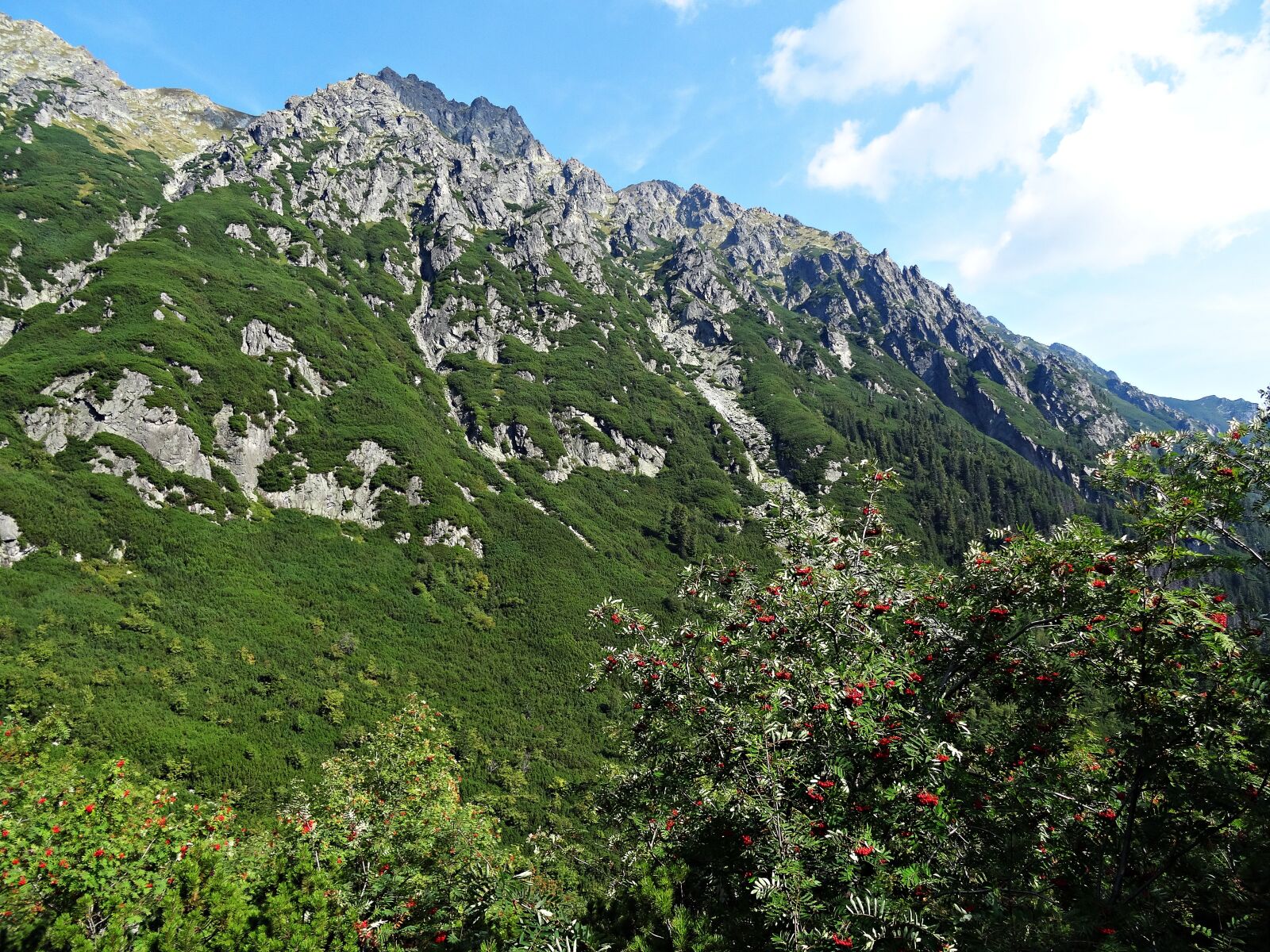 Sony DSC-HX50 sample photo. Landscape, mountains, nature photography