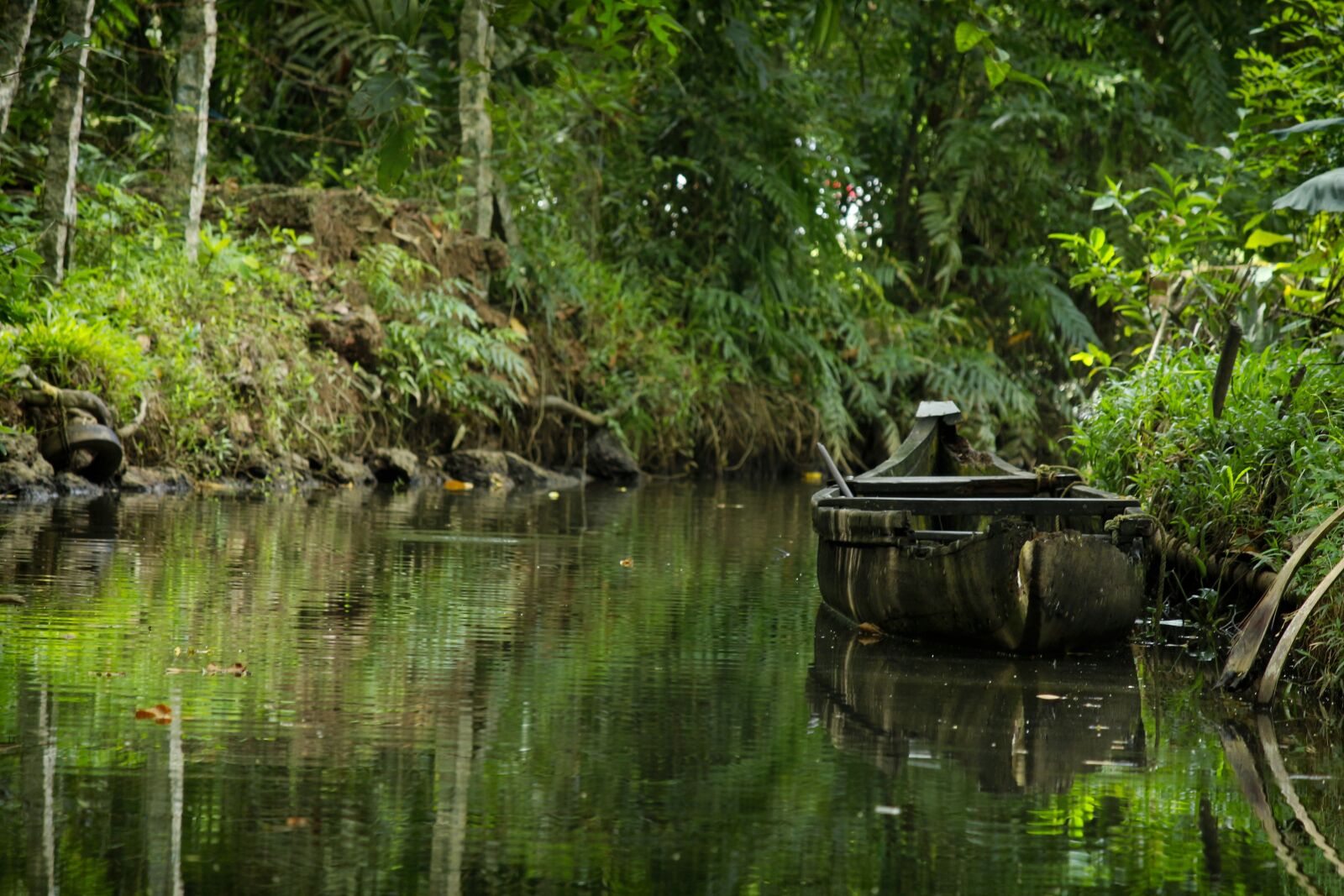 Canon EOS 700D (EOS Rebel T5i / EOS Kiss X7i) sample photo. Old boat, water, green photography