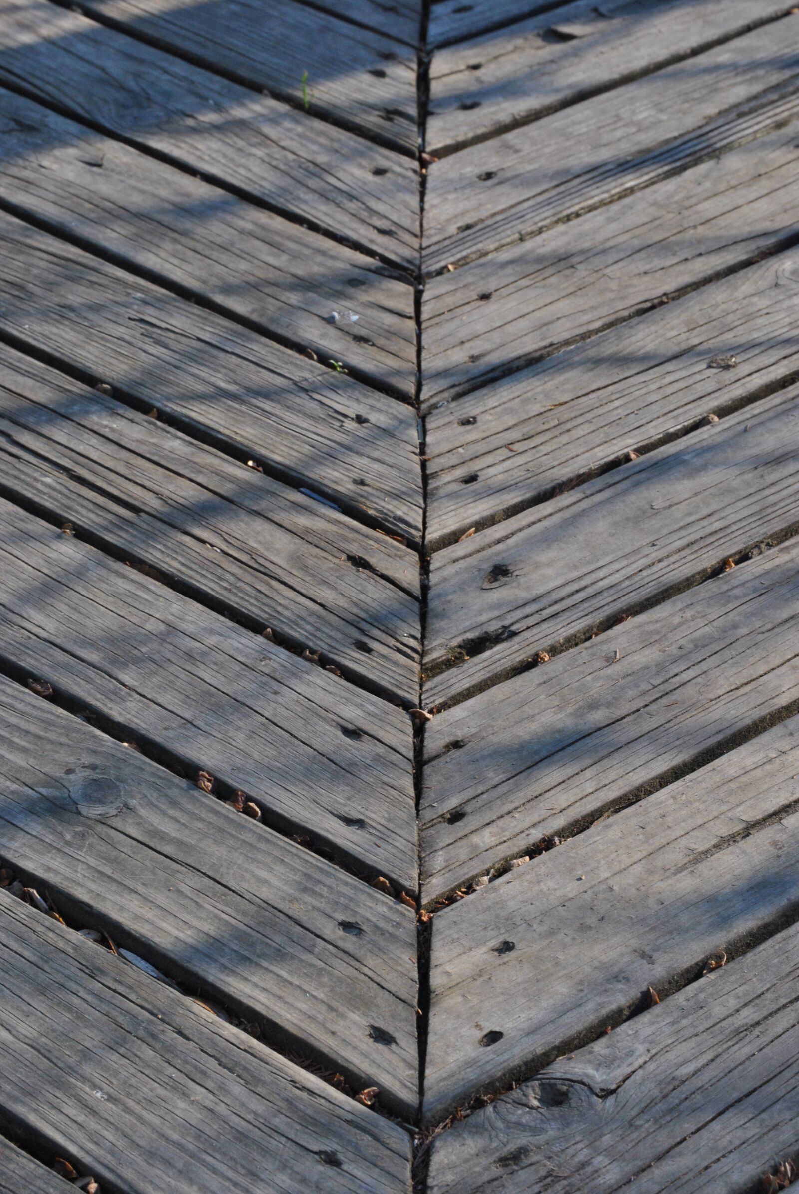 Nikon D3000 sample photo. Wood, pattern, deck photography