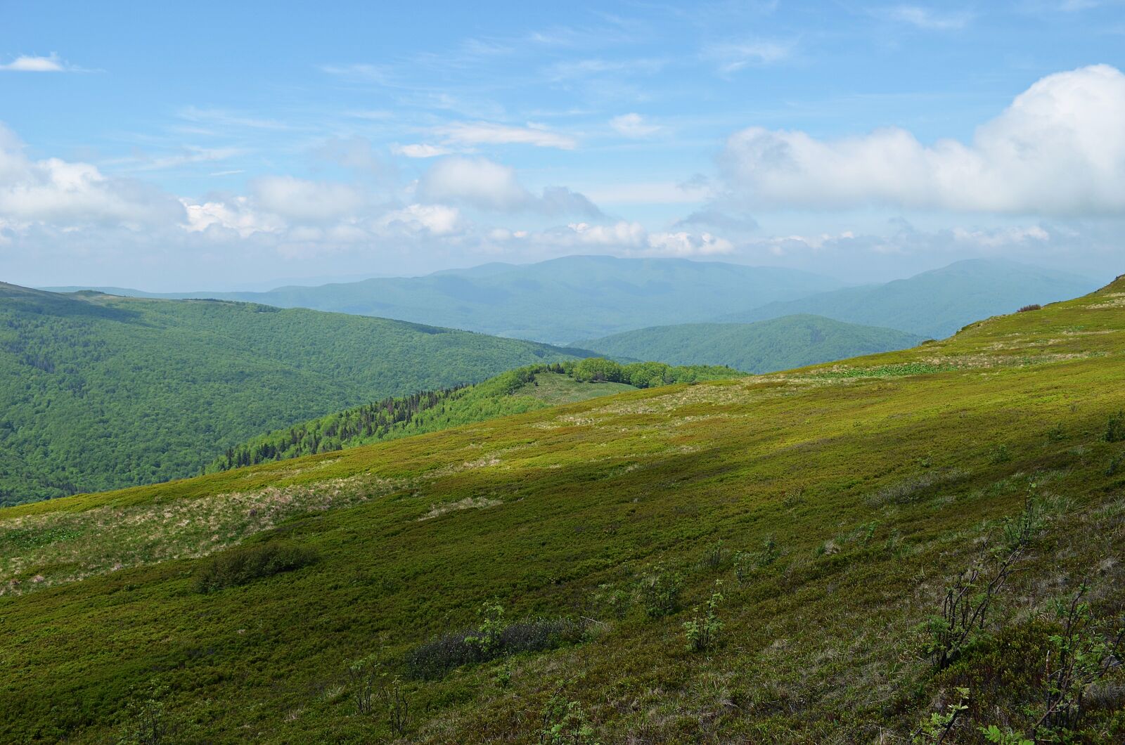Nikon D5100 sample photo. Mountains, landscape, bieszczady photography