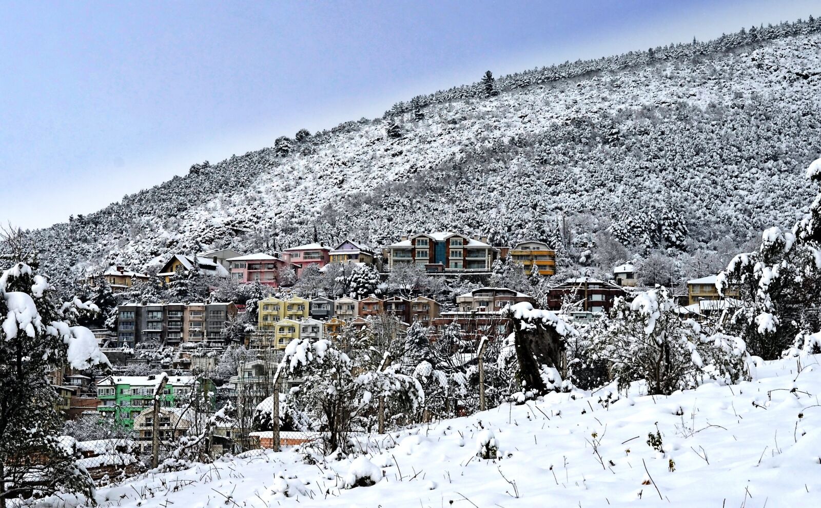 Nikon D5100 sample photo. Kiis, winter, snow photography