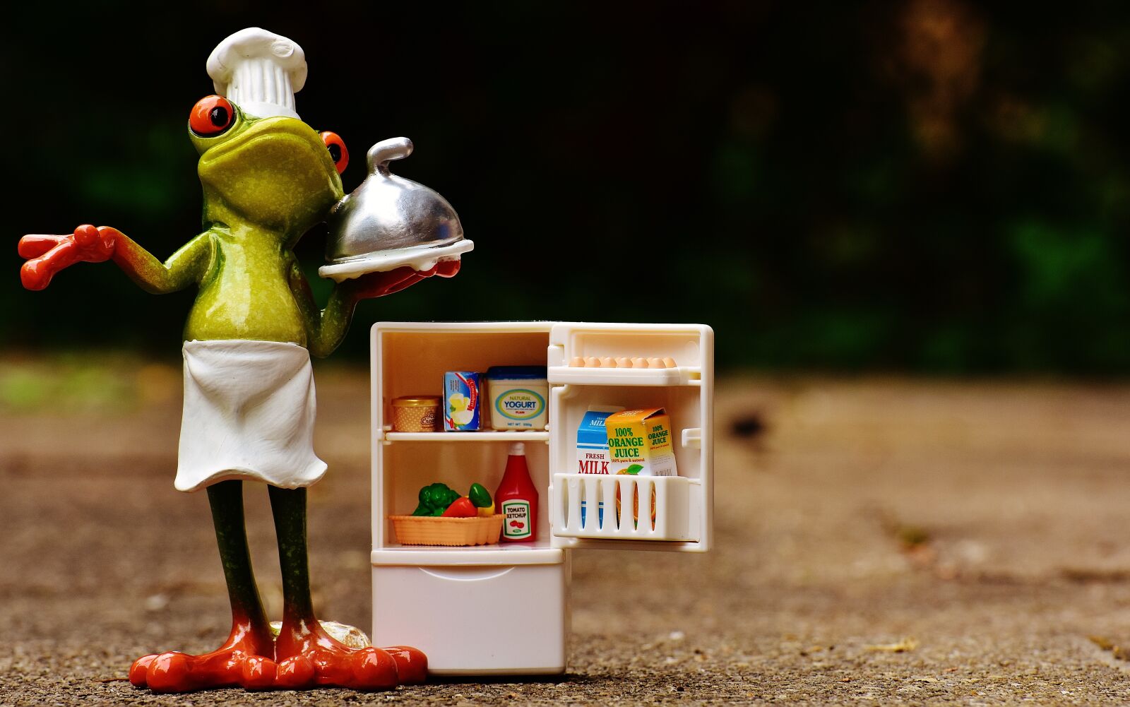 Nikon D7200 sample photo. Frog, cooking, figure photography