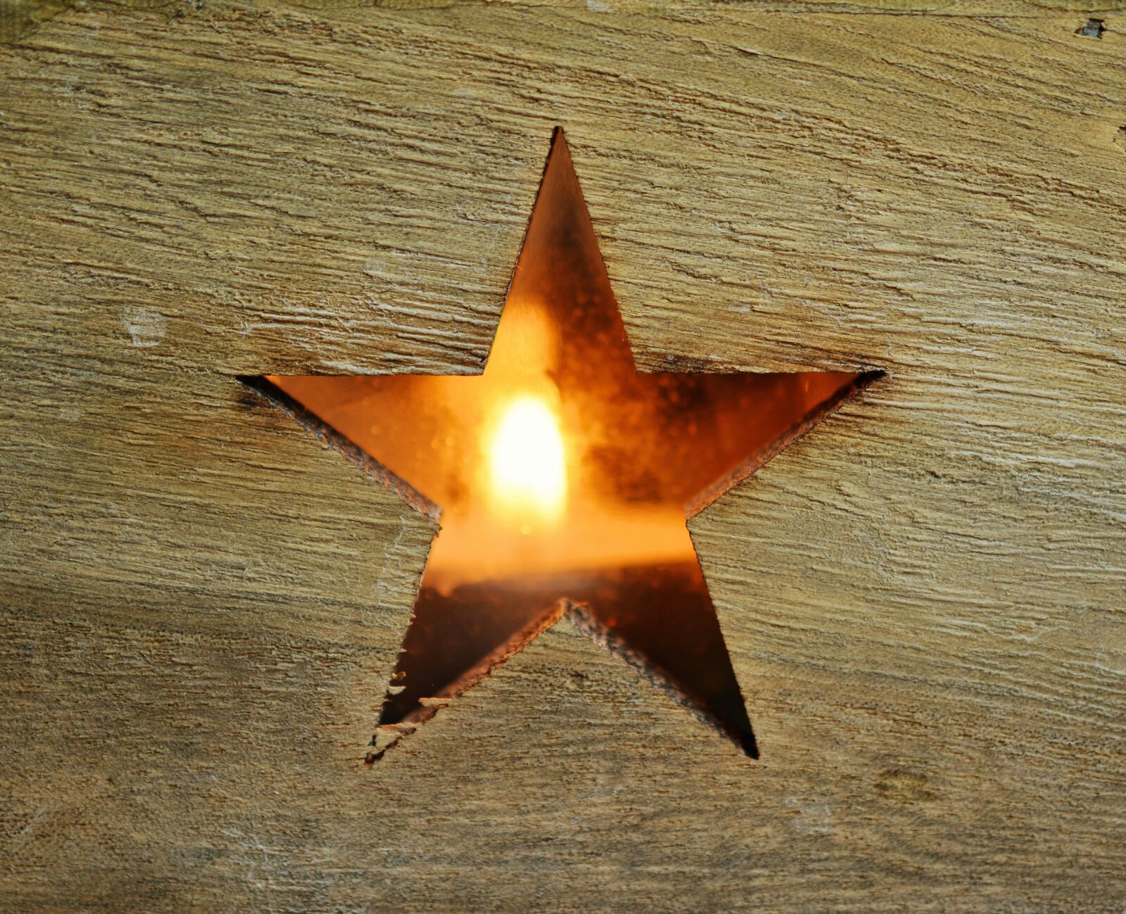 Nikon D5200 sample photo. Poinsettia, star wood, wooden photography