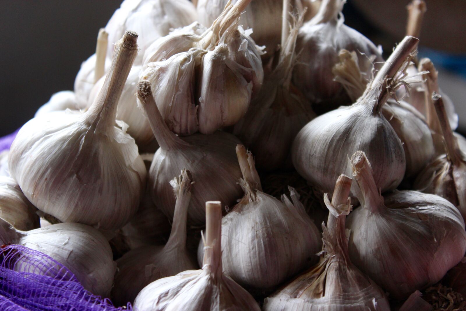 Canon EOS 600D (Rebel EOS T3i / EOS Kiss X5) sample photo. Grocery store, garlic, market photography